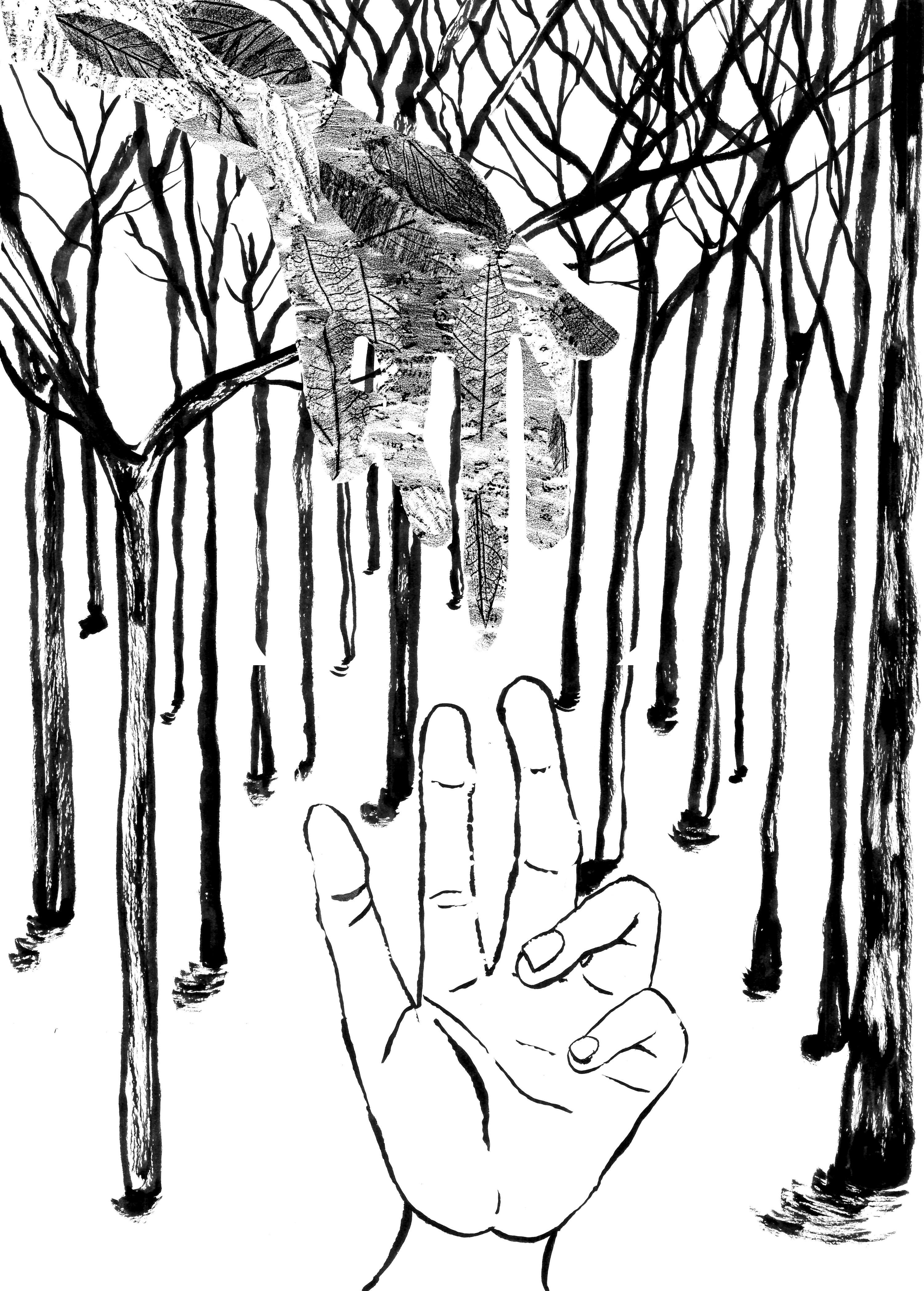 Requiem - The Remembrance of Trees by Amanda Perrin