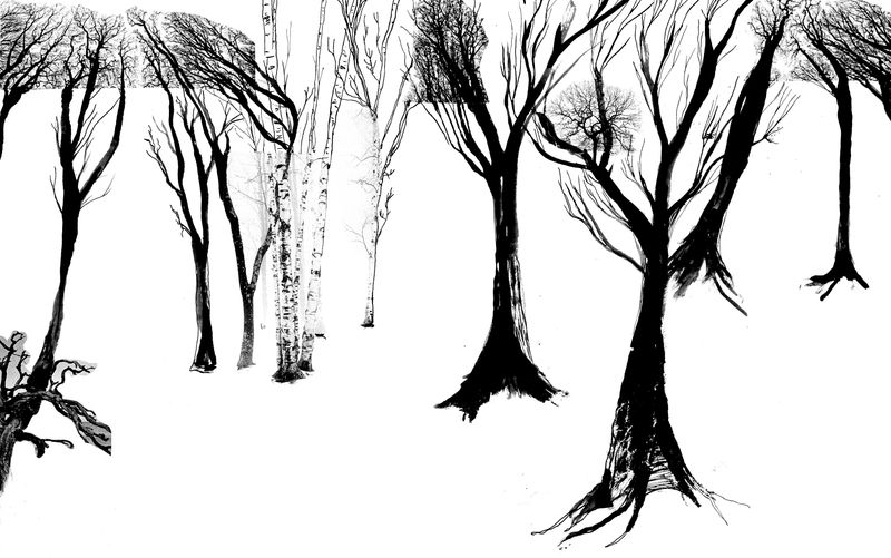 Requiem - The Remembrance of Trees by Amanda Perrin