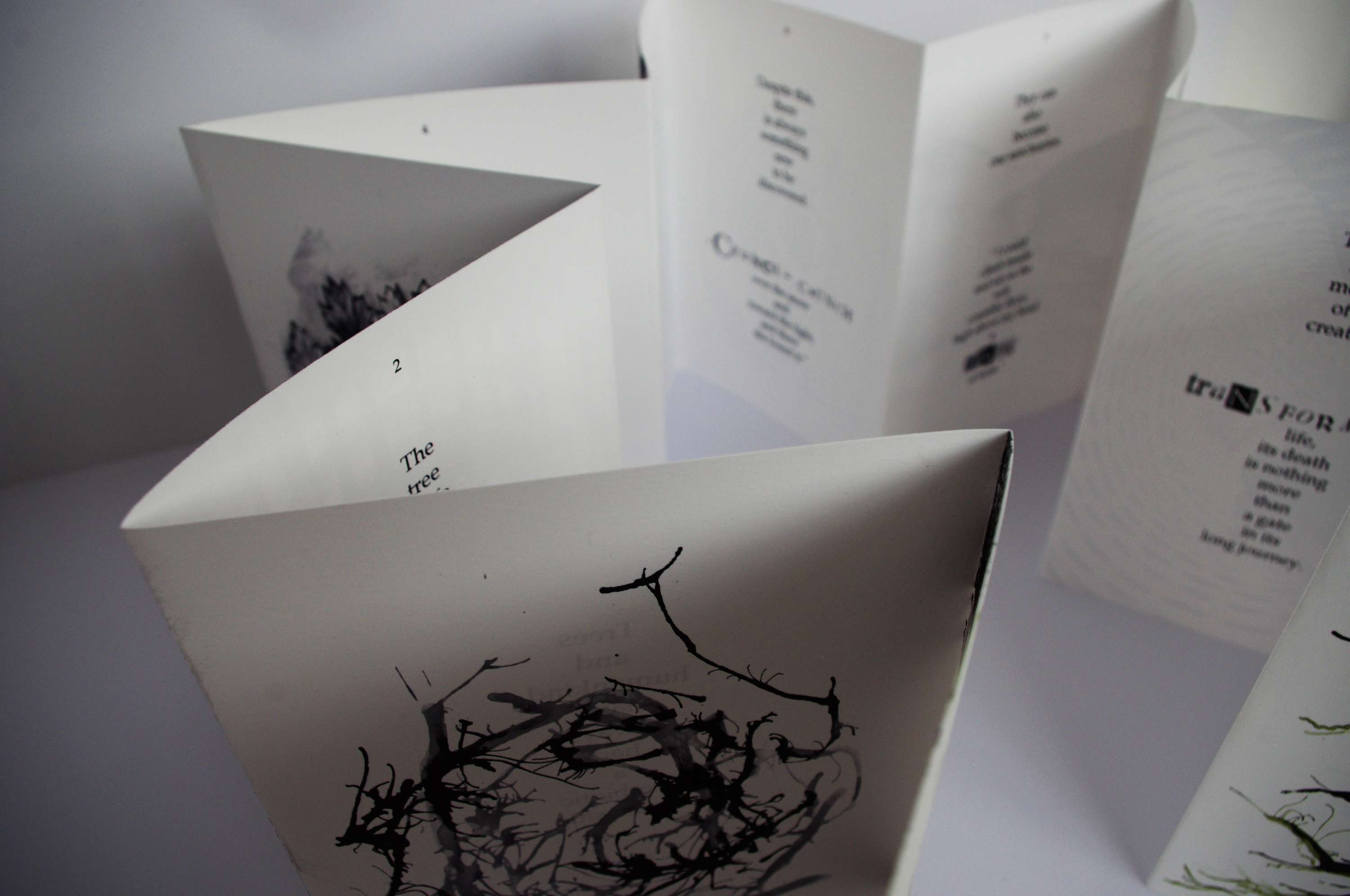 Requiem - The Remembrance of Trees by Amanda Perrin