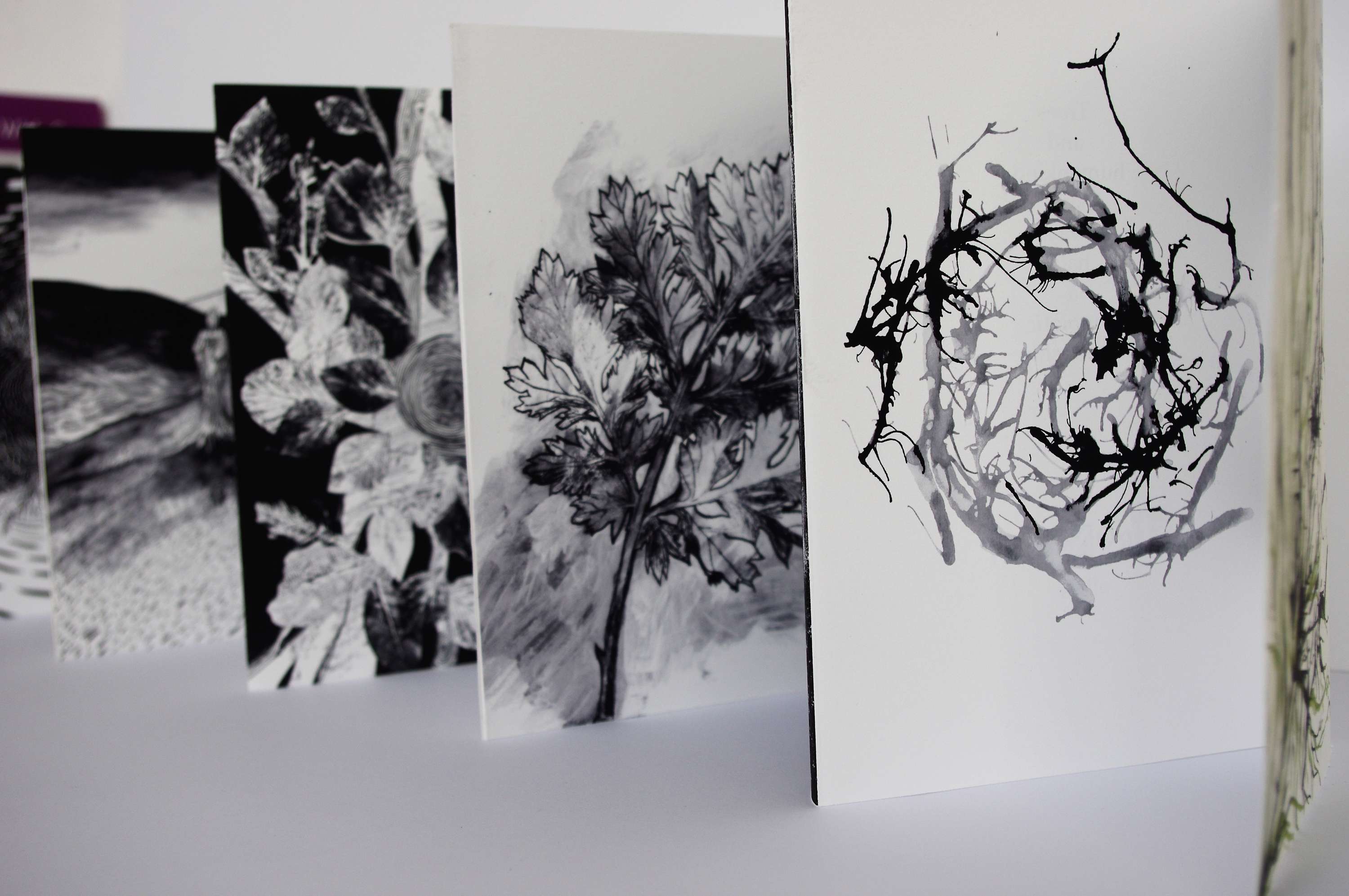 Requiem - The Remembrance of Trees by Amanda Perrin