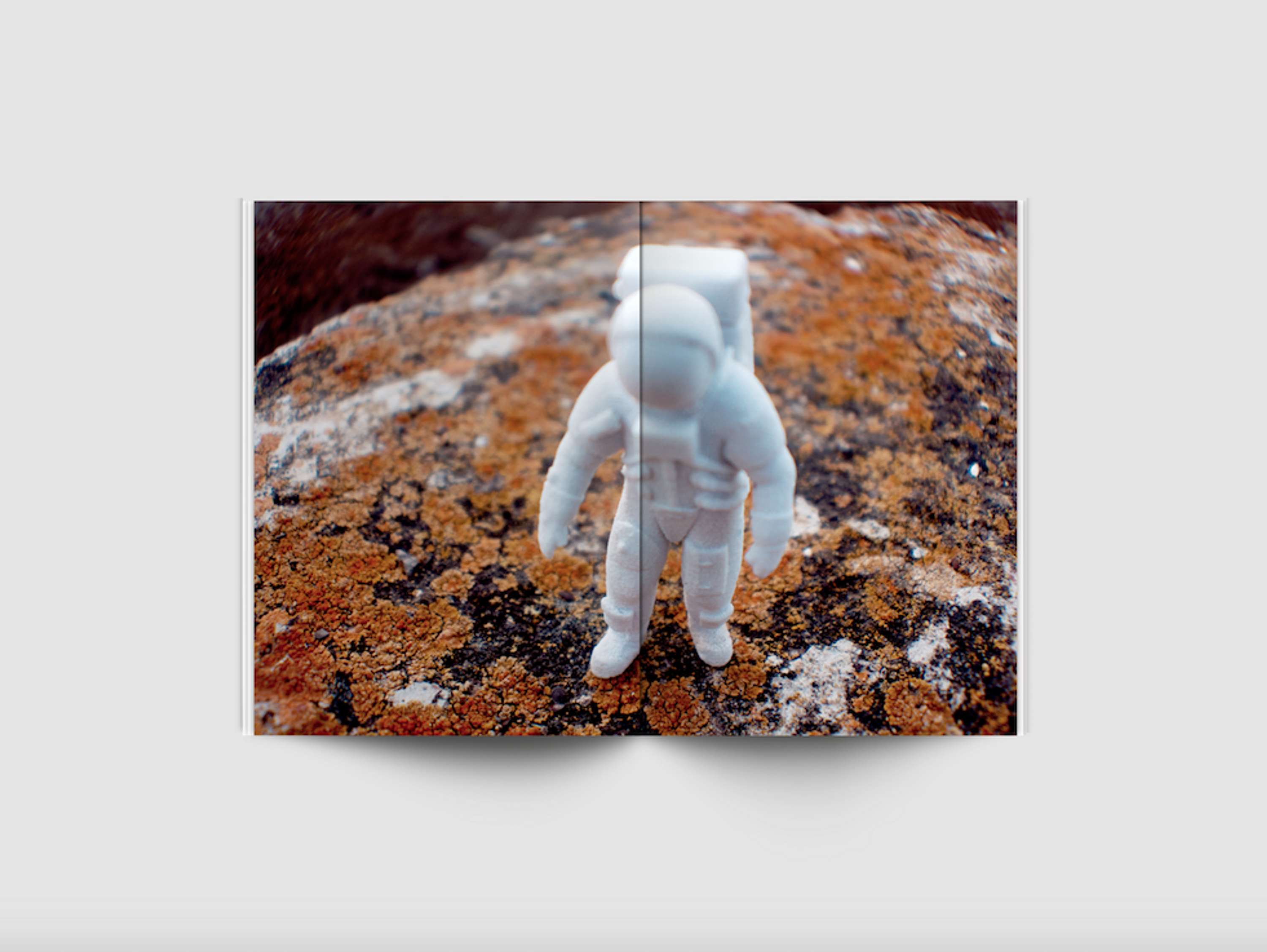 Stray Astronaut by Claudia Morales