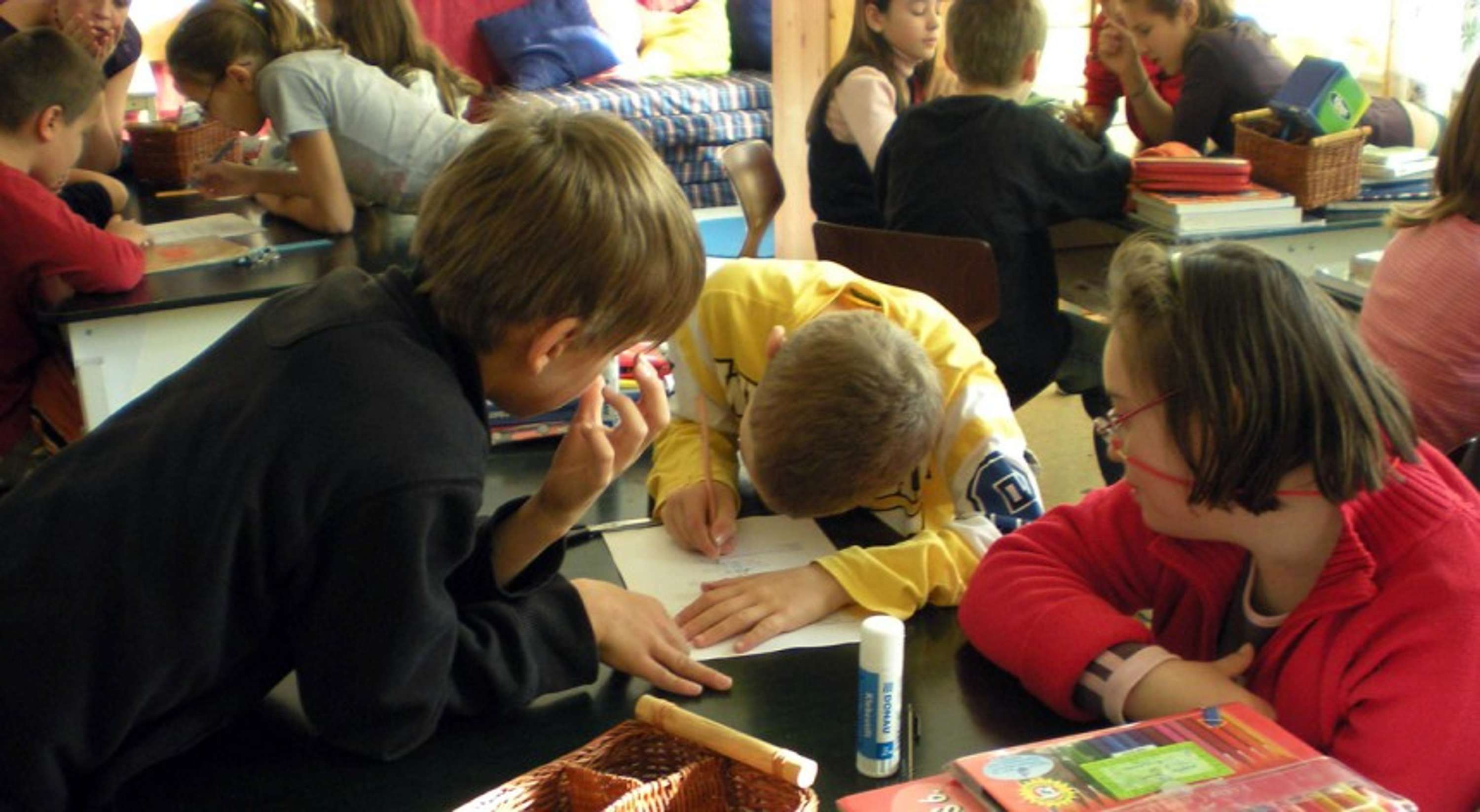 INCLUSION VERSUS SEGREGATION AND INTEGRATION by Russell Cartee