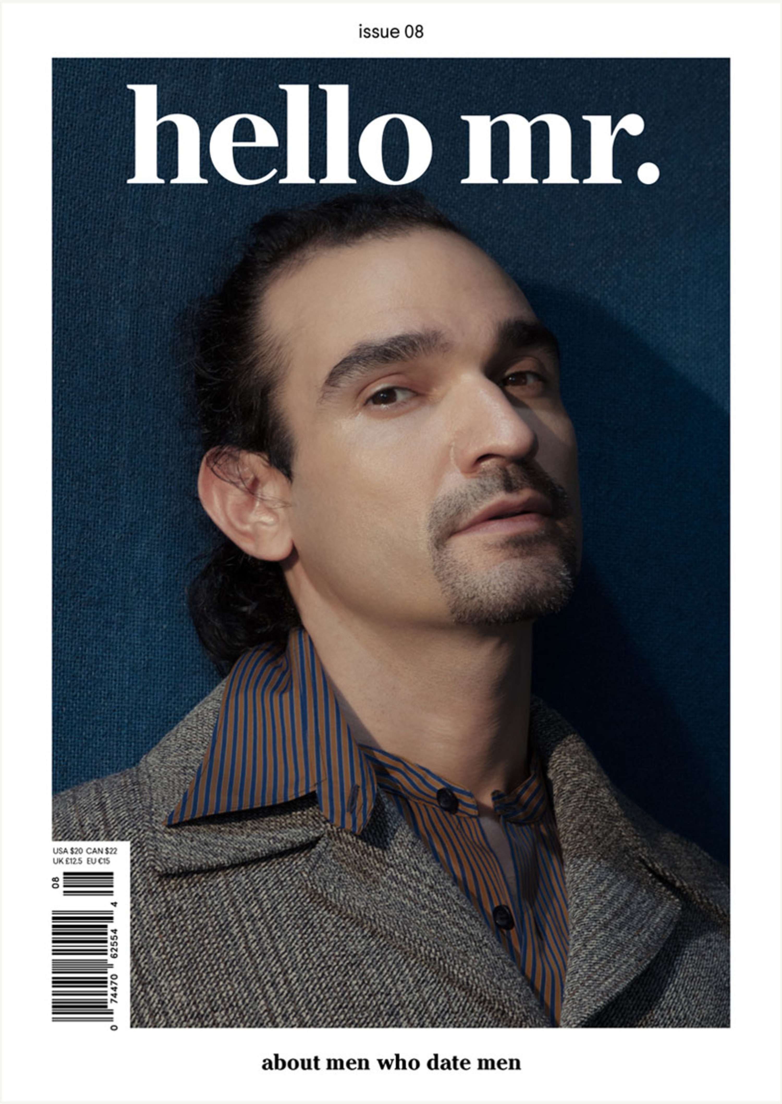 Hello Mr. Issue 8 by Ryan Fitzgibbon