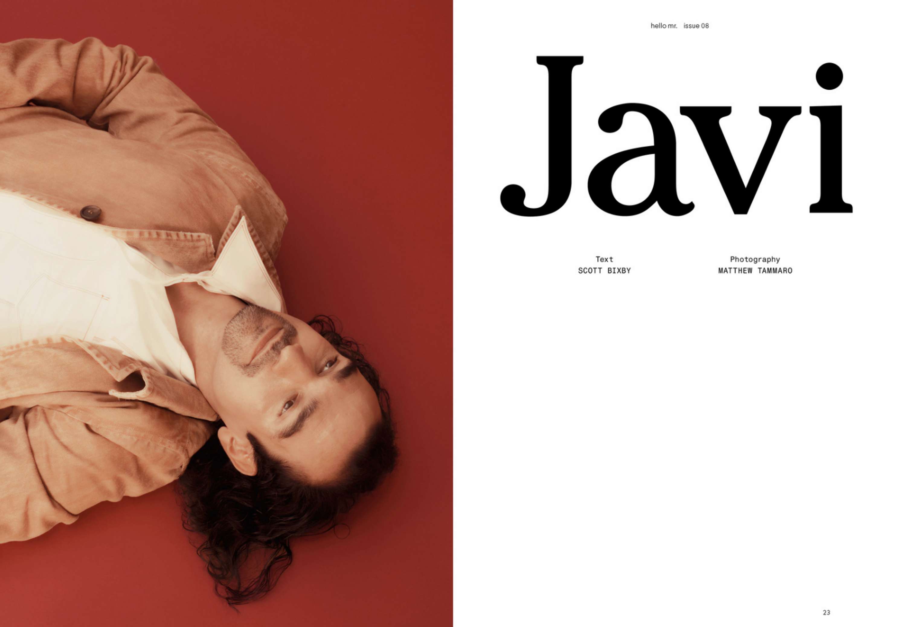 Hello Mr. Issue 8 by Ryan Fitzgibbon