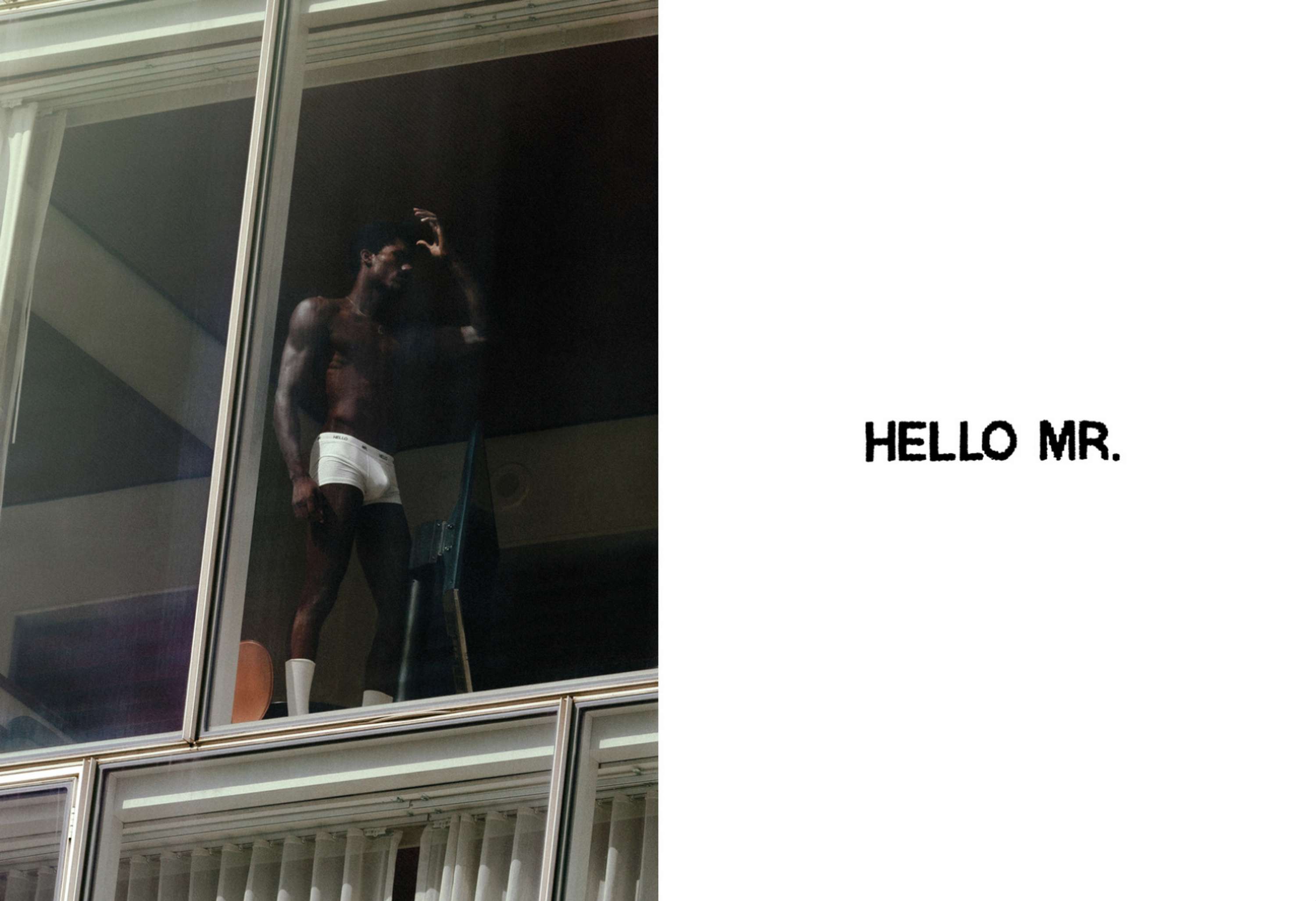Hello Mr. Issue 8 by Ryan Fitzgibbon