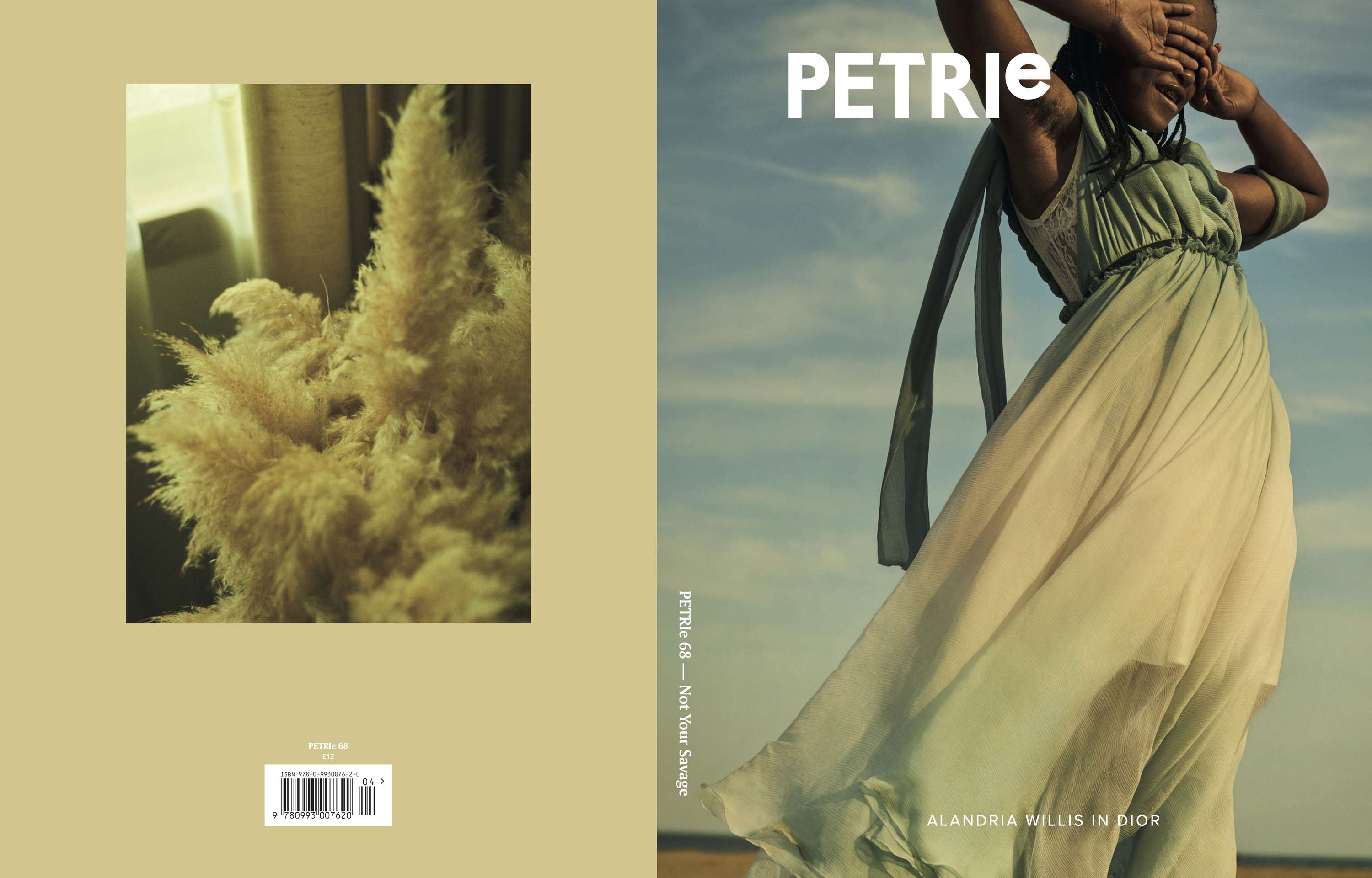 PETRIe 68 "Not Your Savage" Issue by Luca Barbieri