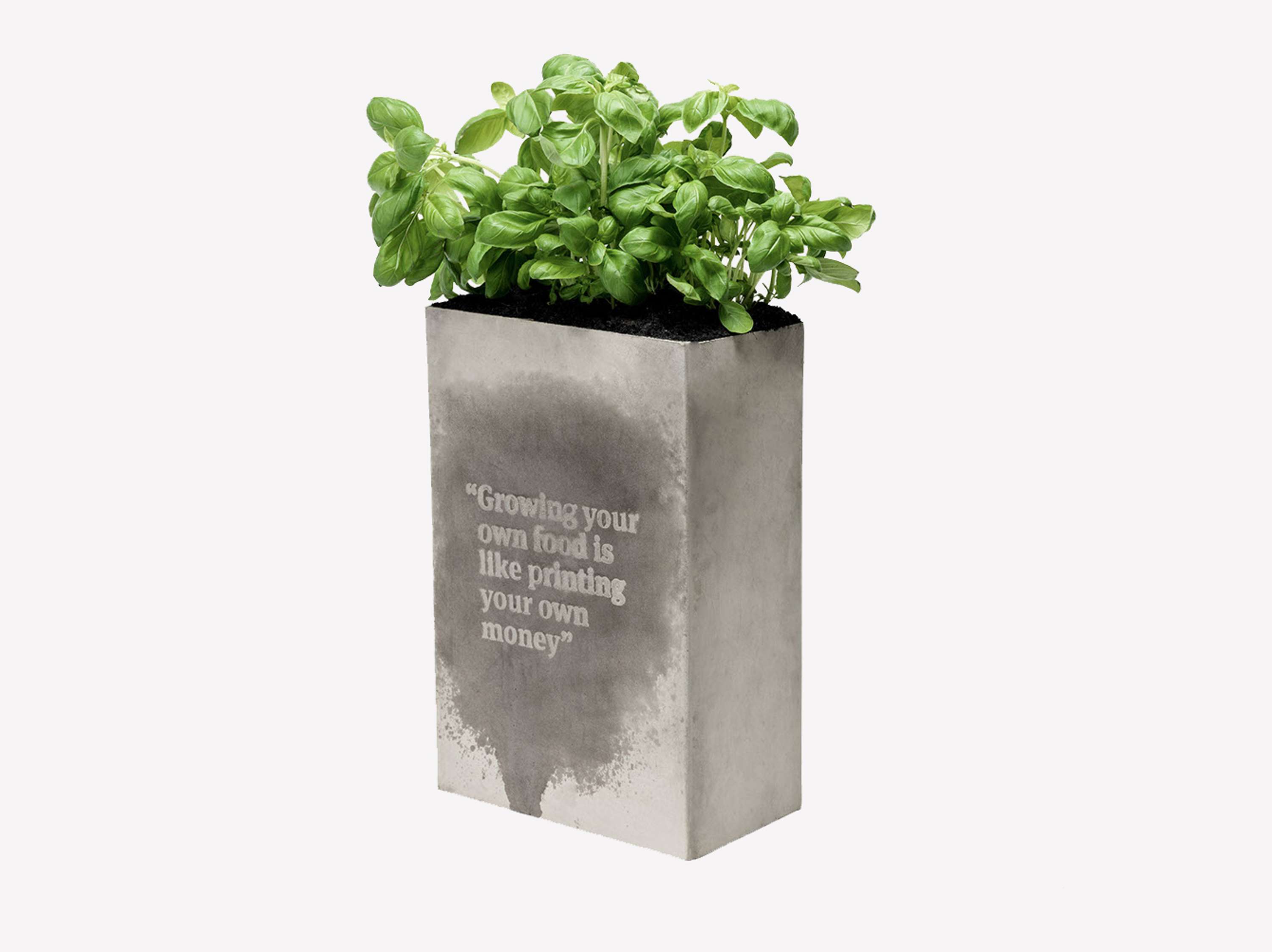 It's raining typography by Etty Flynn