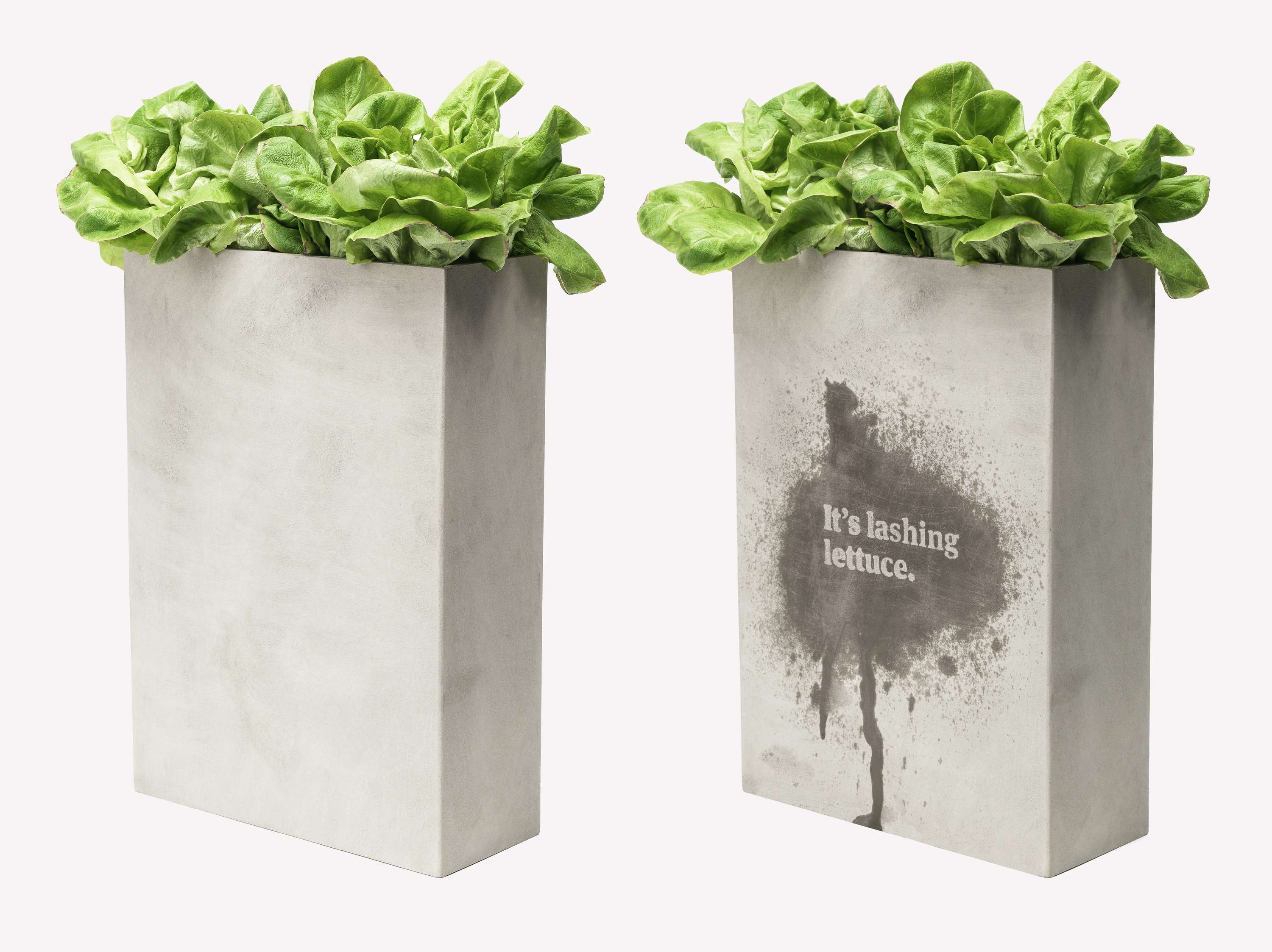 It's raining typography by Etty Flynn