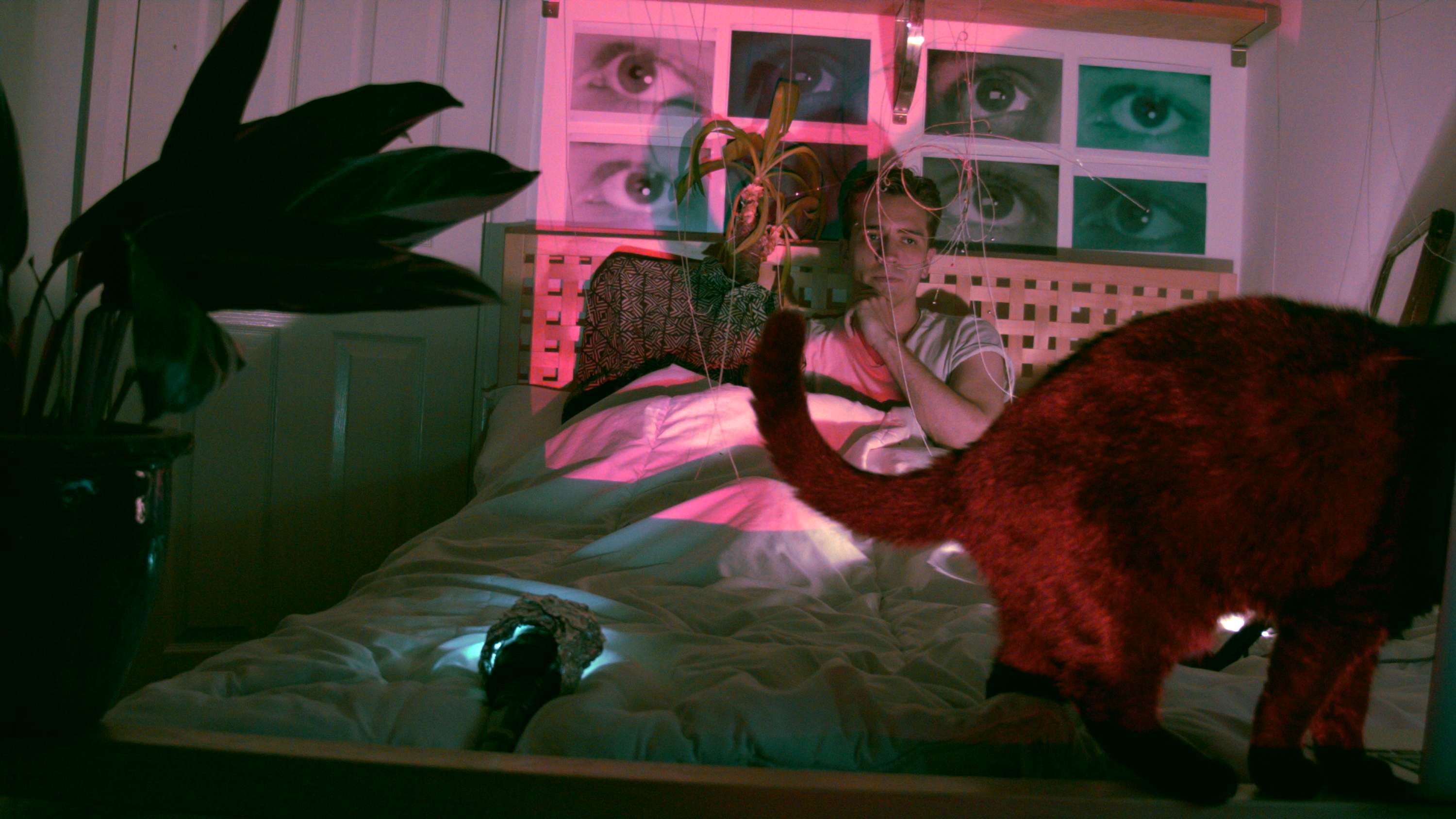 Rocheman : A Press Shot Series by Oliver Turtle