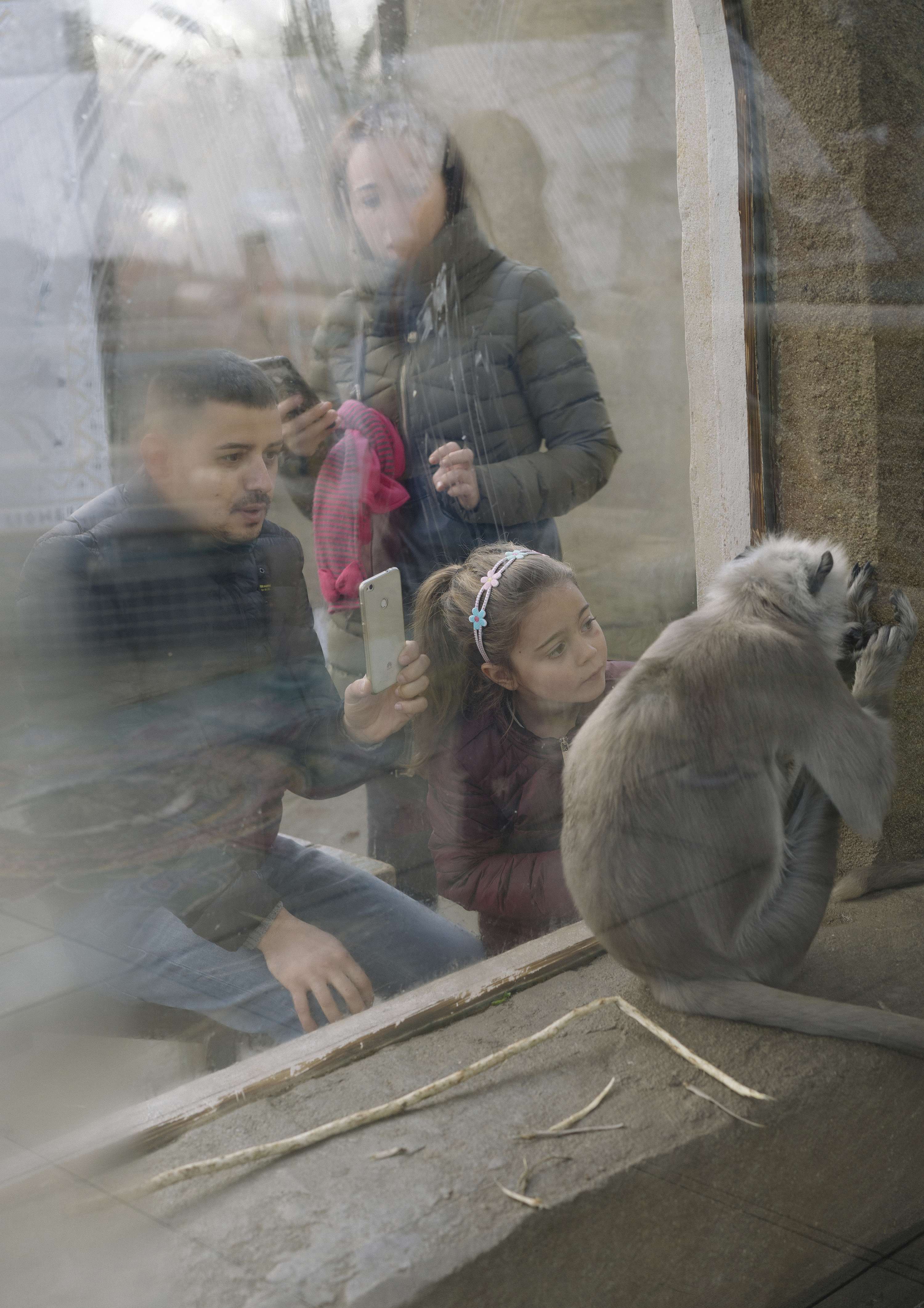 An Inspection of Zoos by Daniel Avery