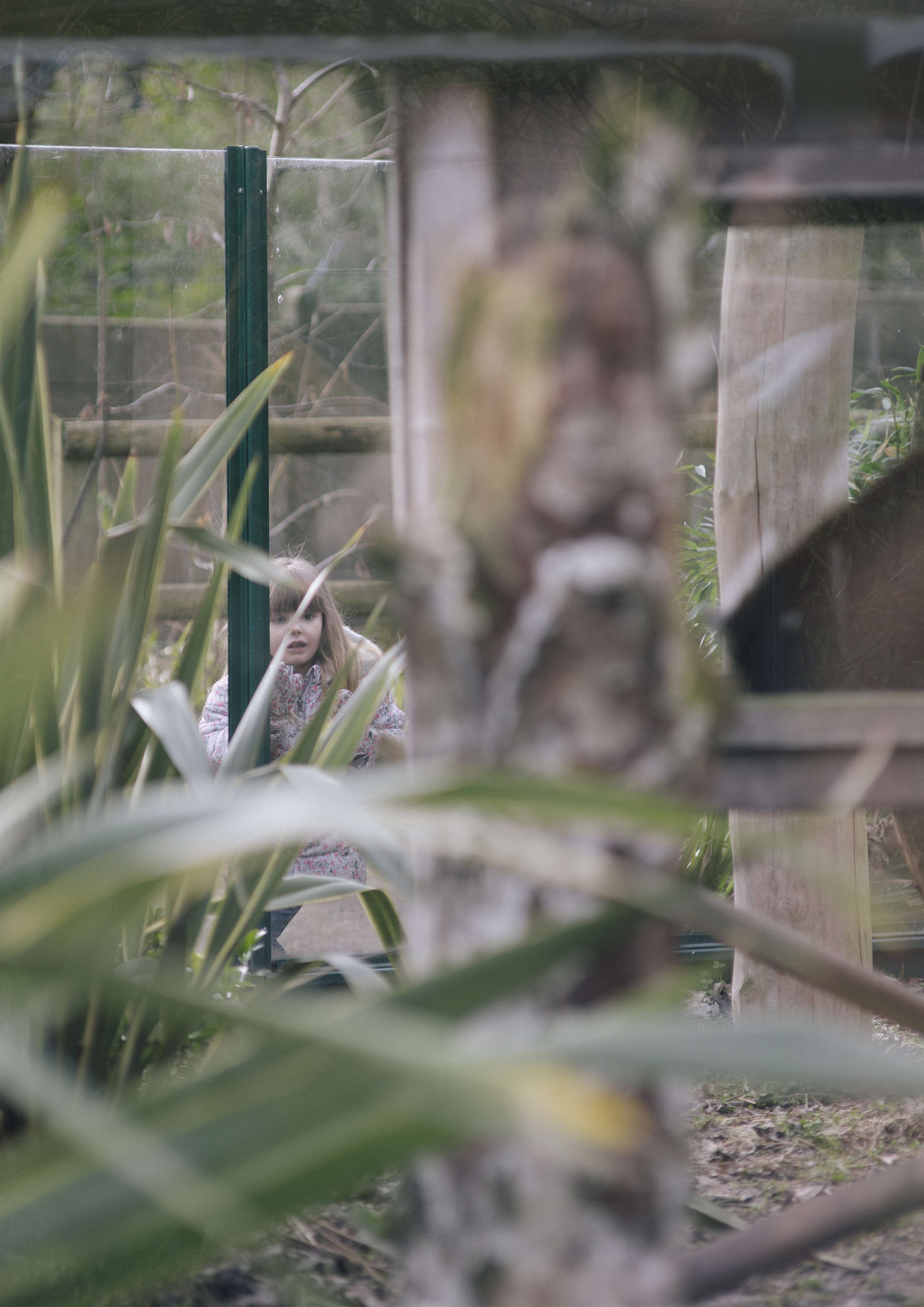 An Inspection of Zoos by Daniel Avery