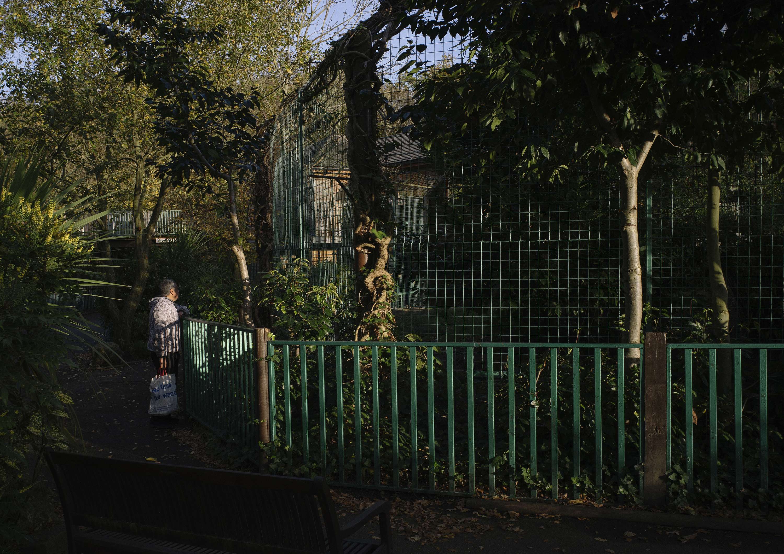 An Inspection of Zoos by Daniel Avery