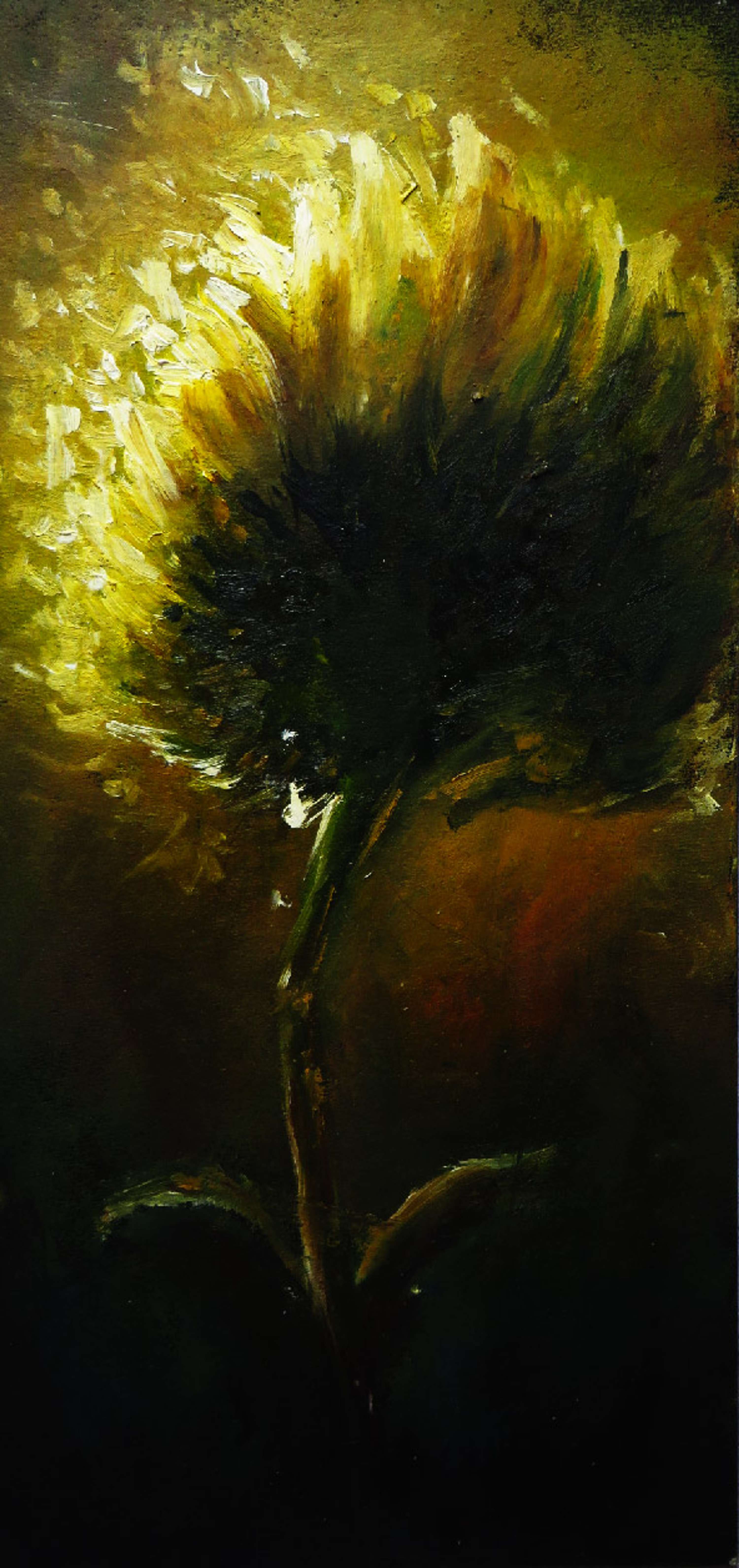 Suns on Earth by Julie De Abreu