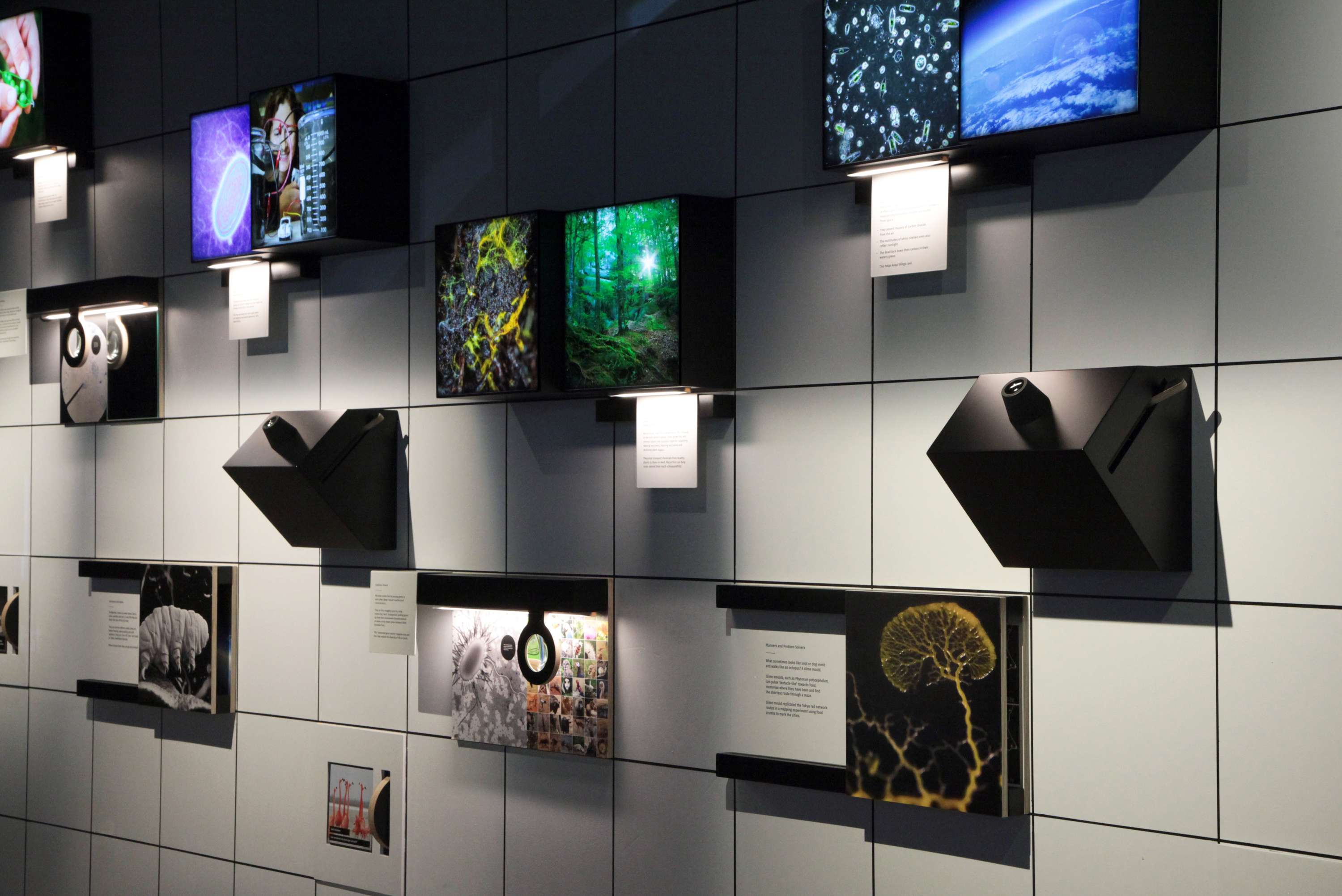 Eden Project – Invisible Worlds by Claire Campion