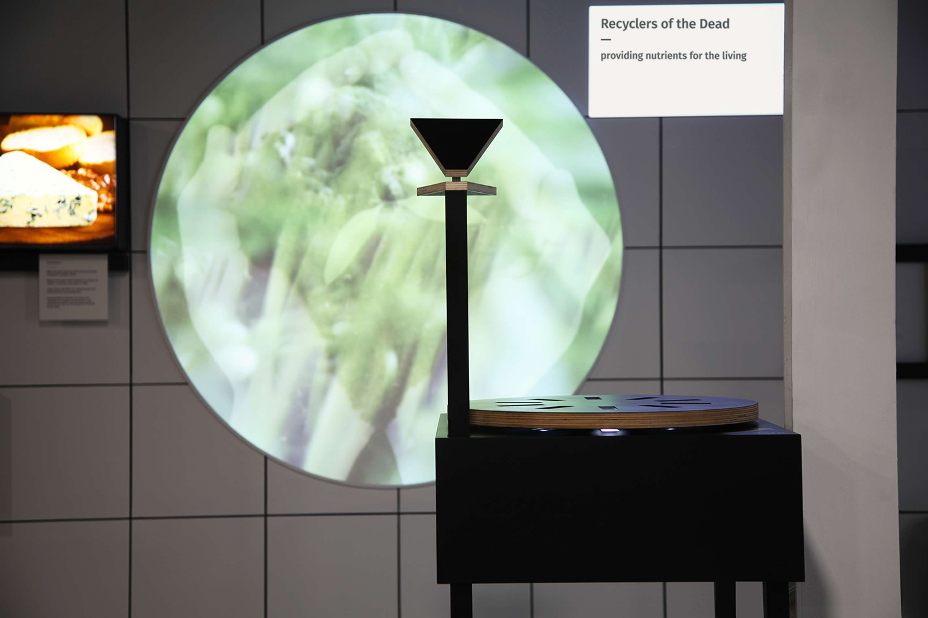 Eden Project – Invisible Worlds by Claire Campion