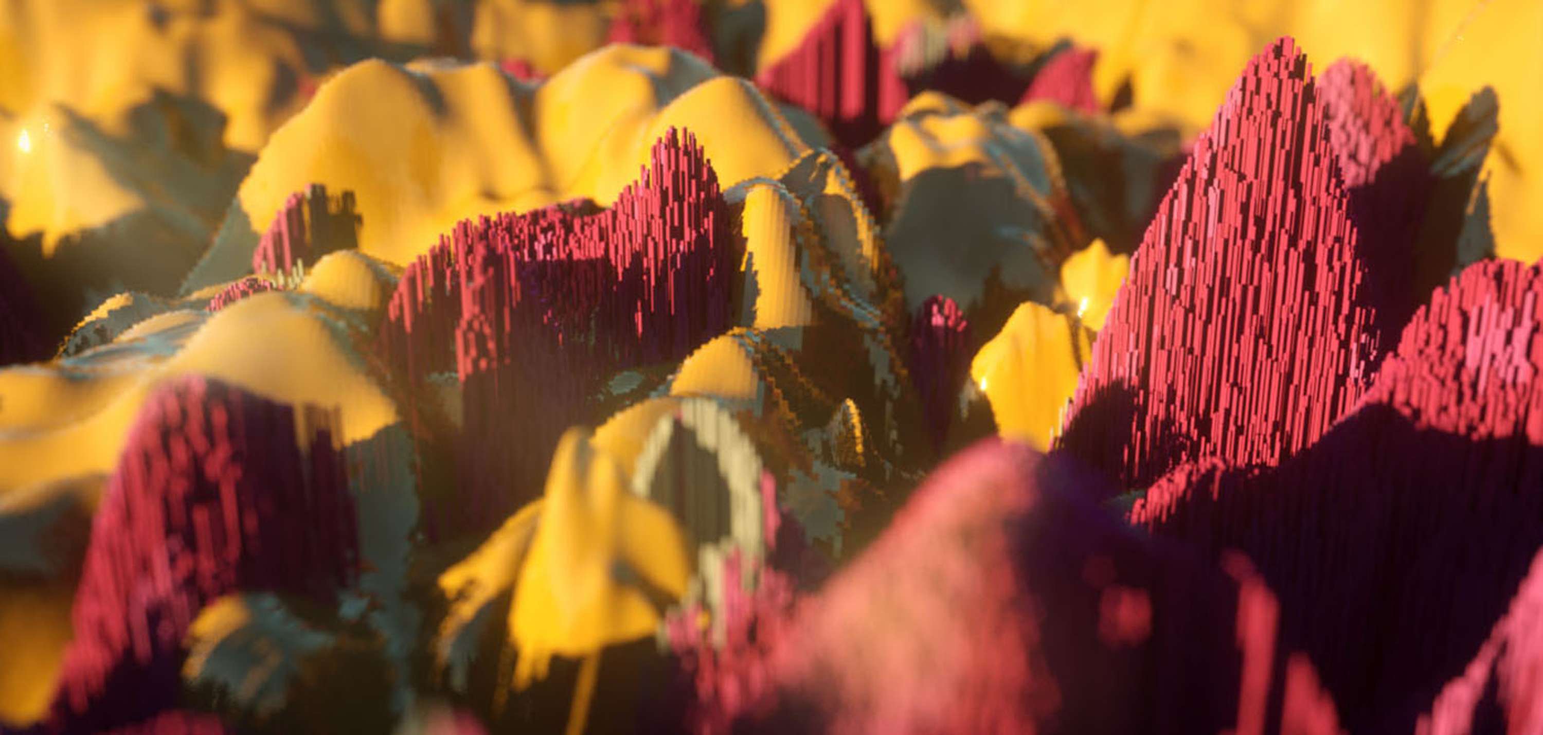 Dreams arousing from an undiscovered path by Gabriela Parra
