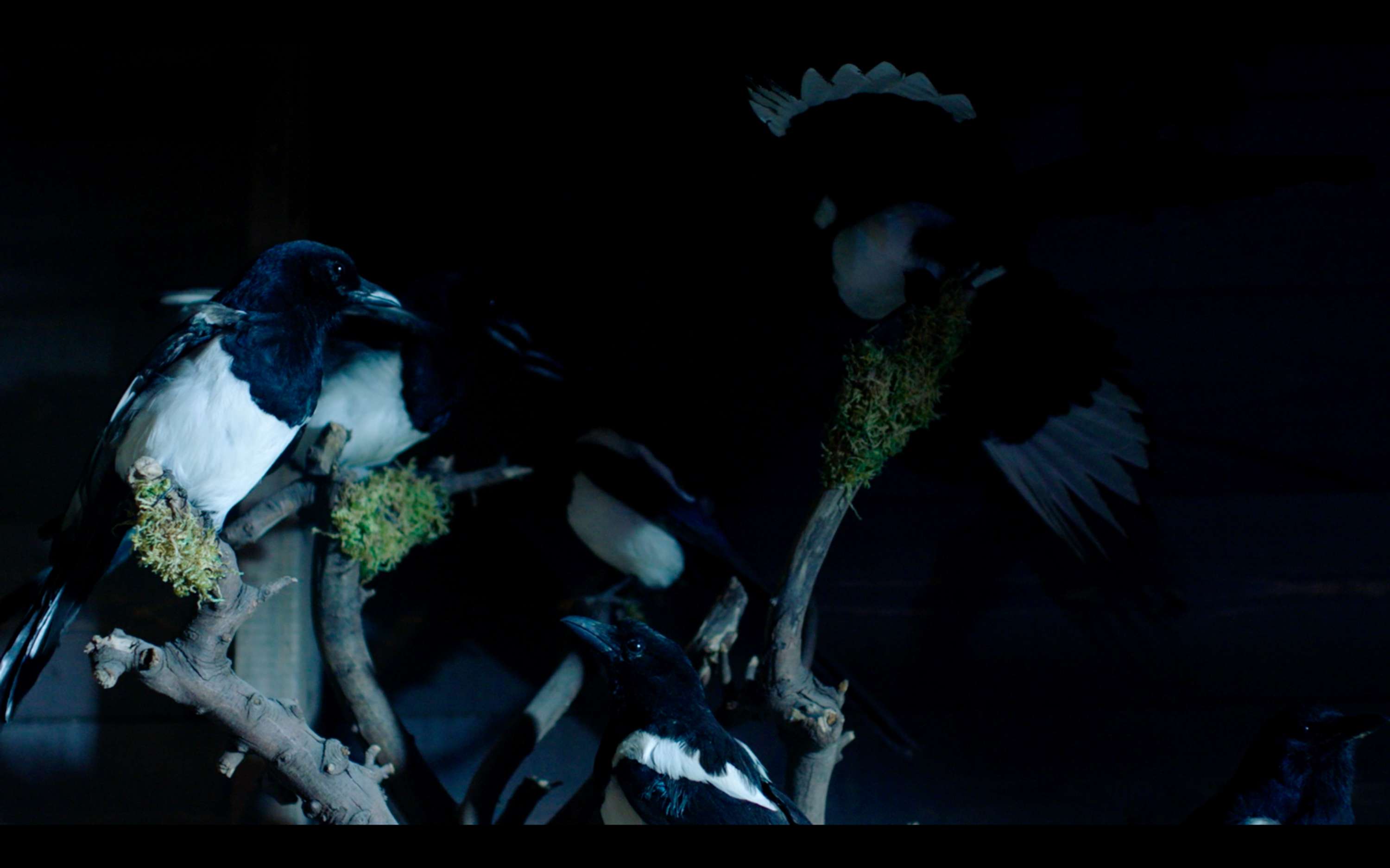 The Oracles - Punchdrunk x Google by Across the Pond