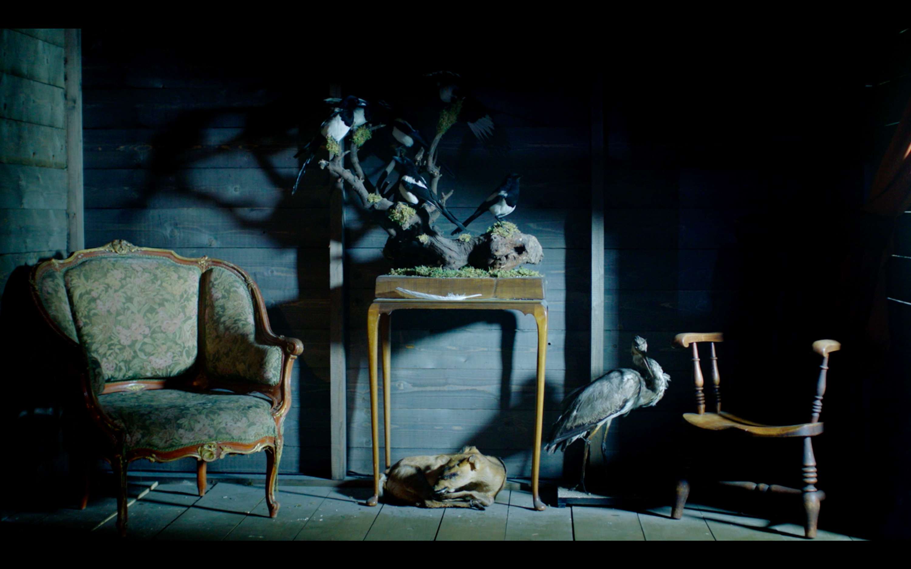 The Oracles - Punchdrunk x Google by Across the Pond