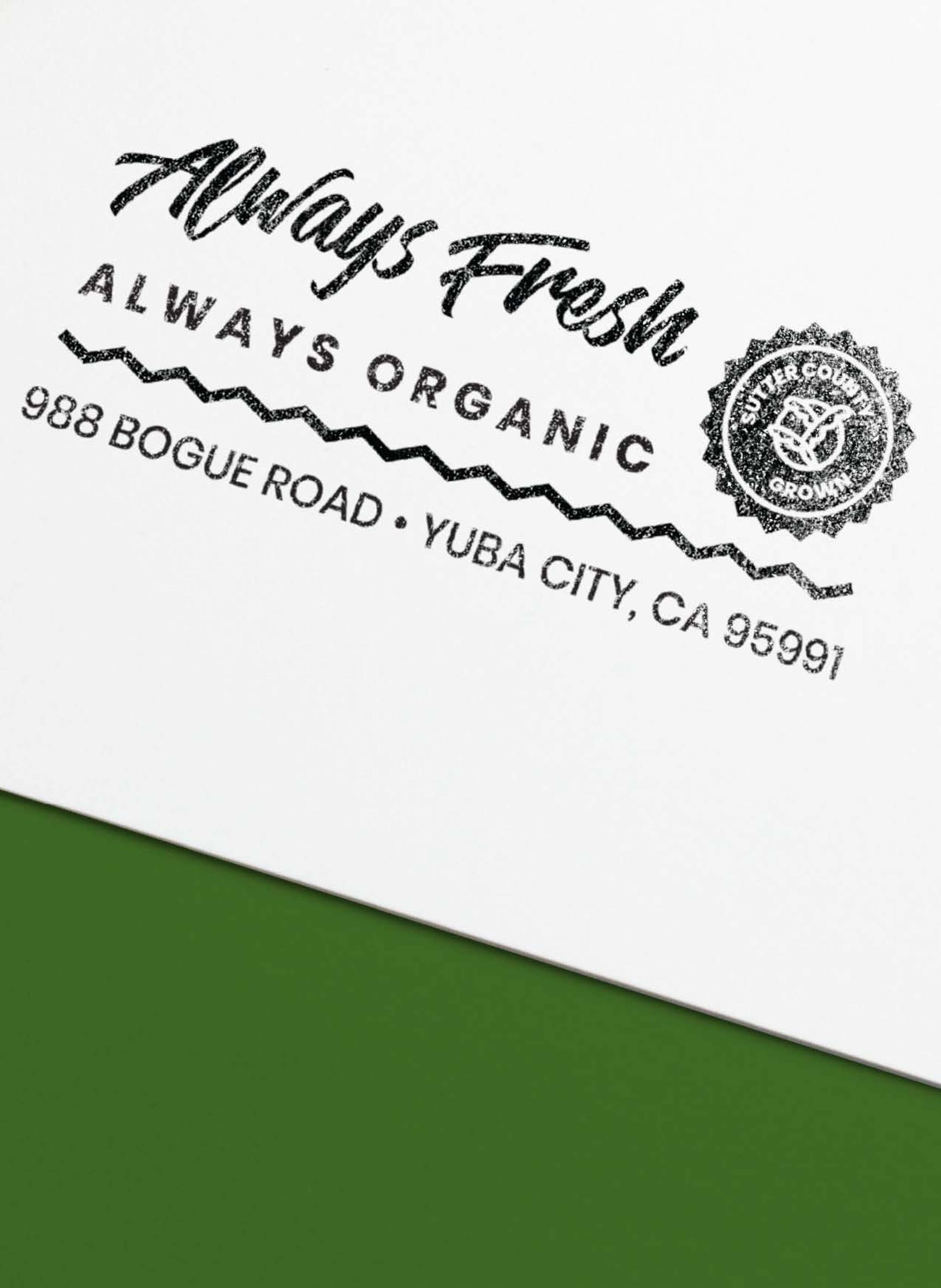 Always Fresh Branding System by Kate Gorrell Matthews