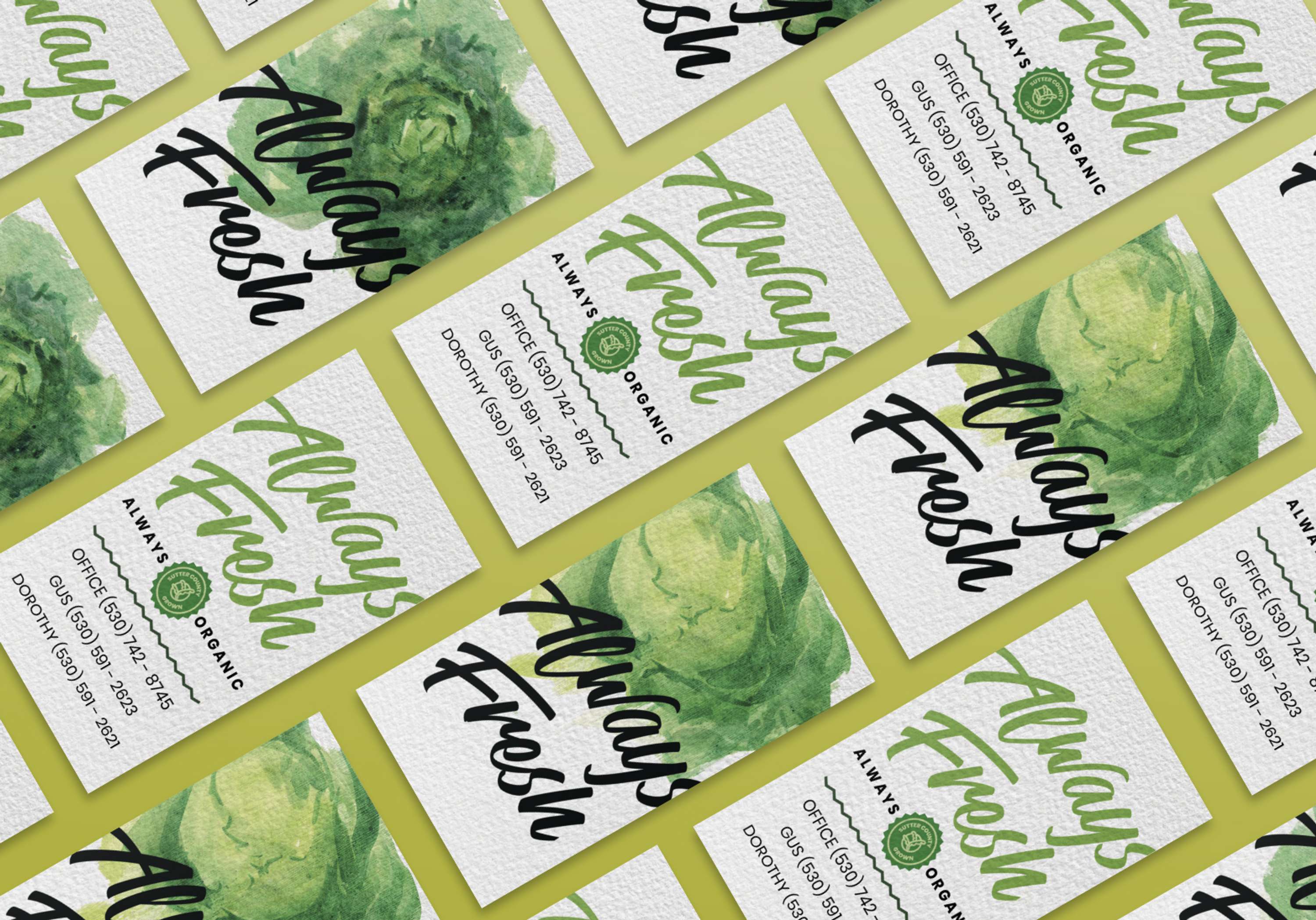 Always Fresh Branding System by Kate Gorrell Matthews