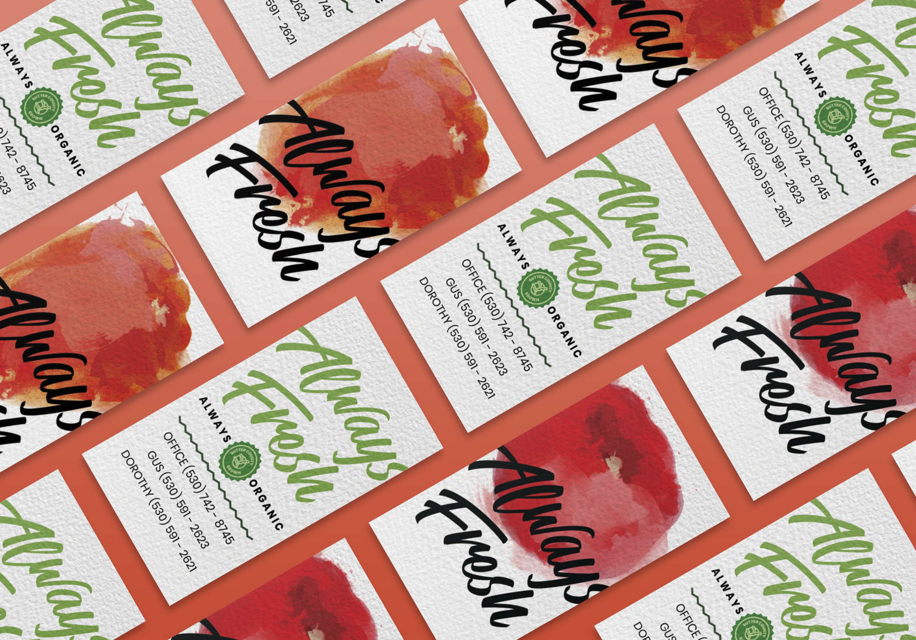 Always Fresh Branding System by Kate Gorrell Matthews