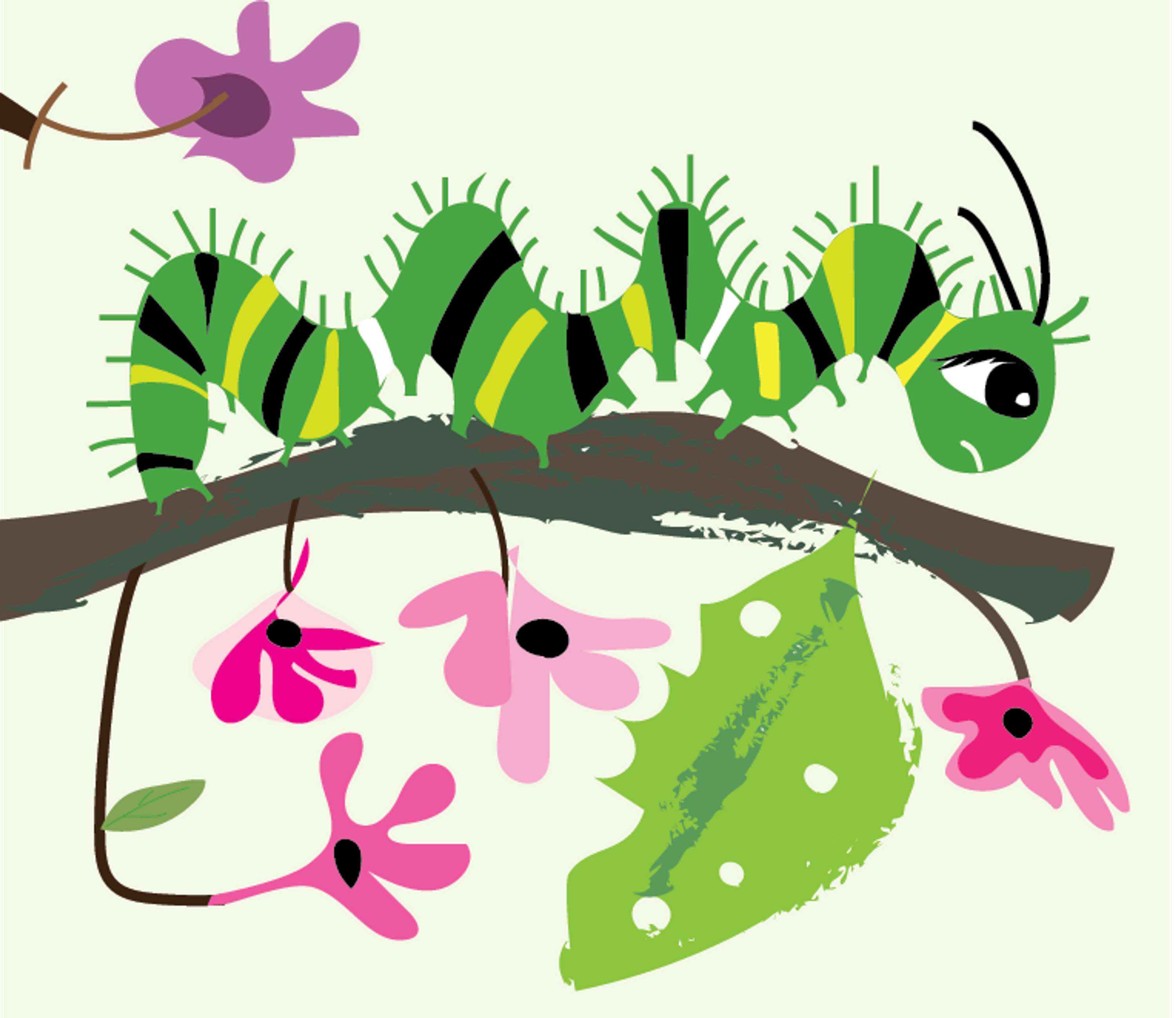 Illustrating for Amplify by Charlotte Noruzi