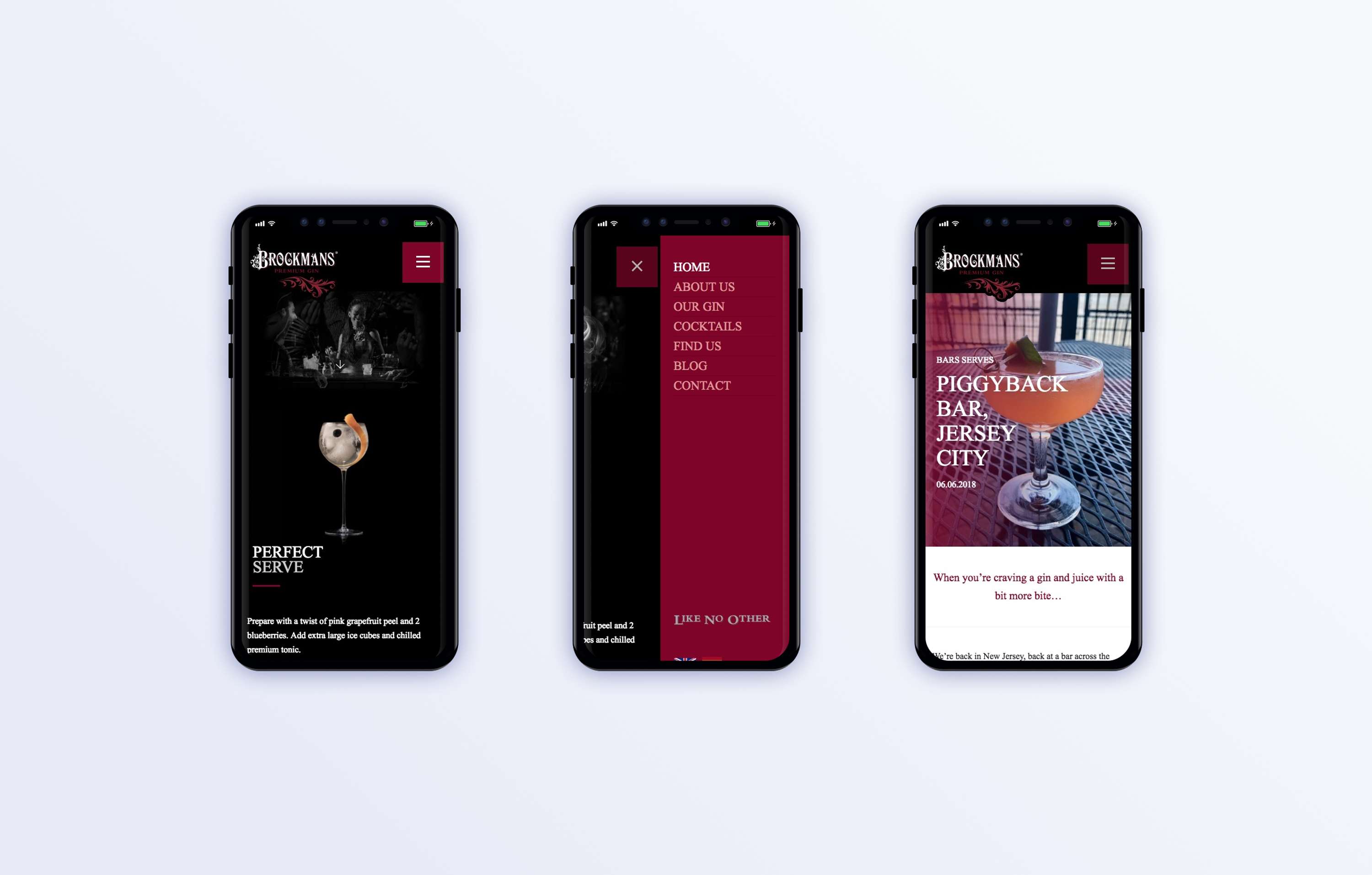 Brockmans Gin website development by Leon Harris