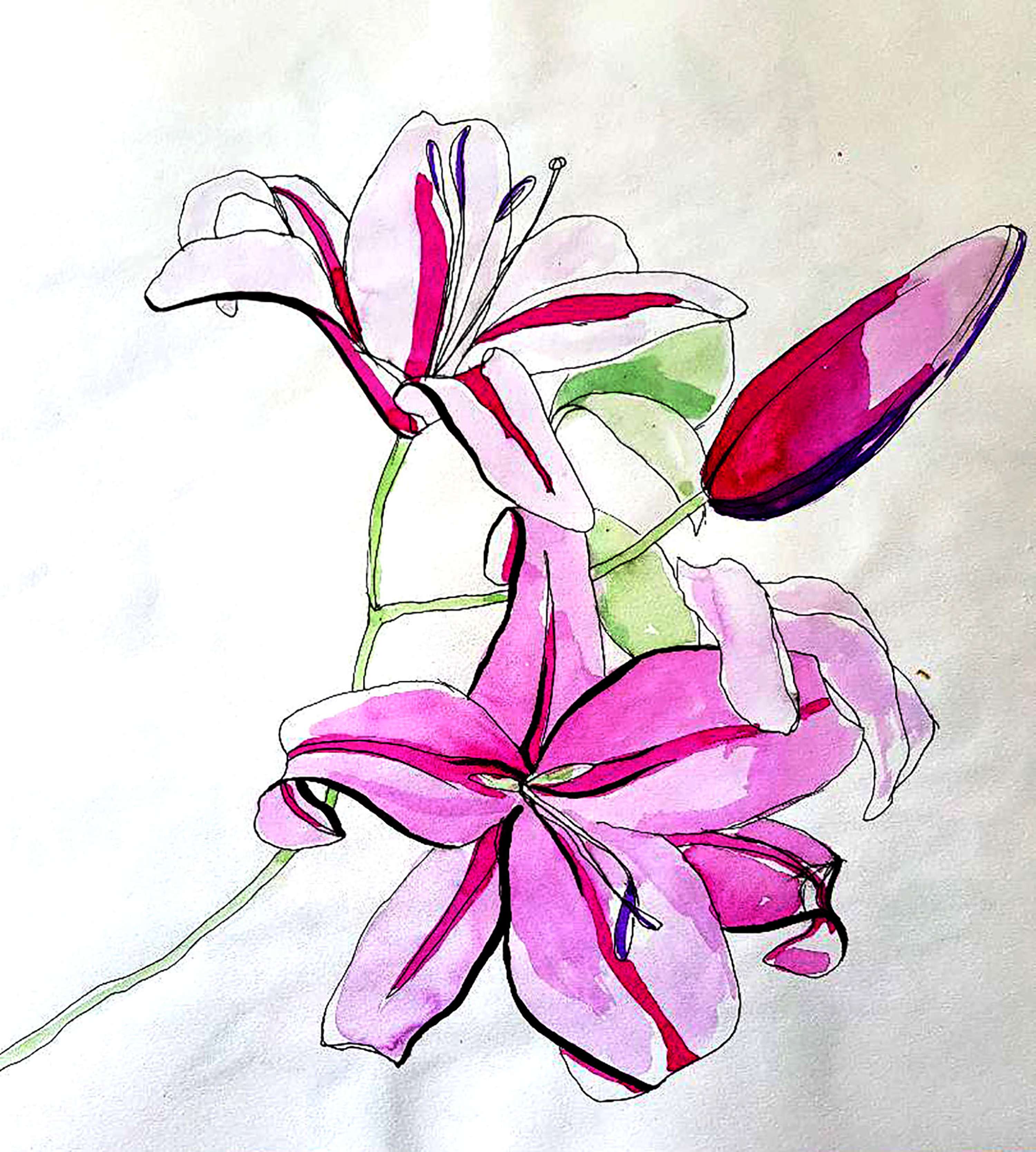 Visual Studies by Rebecca Gennard