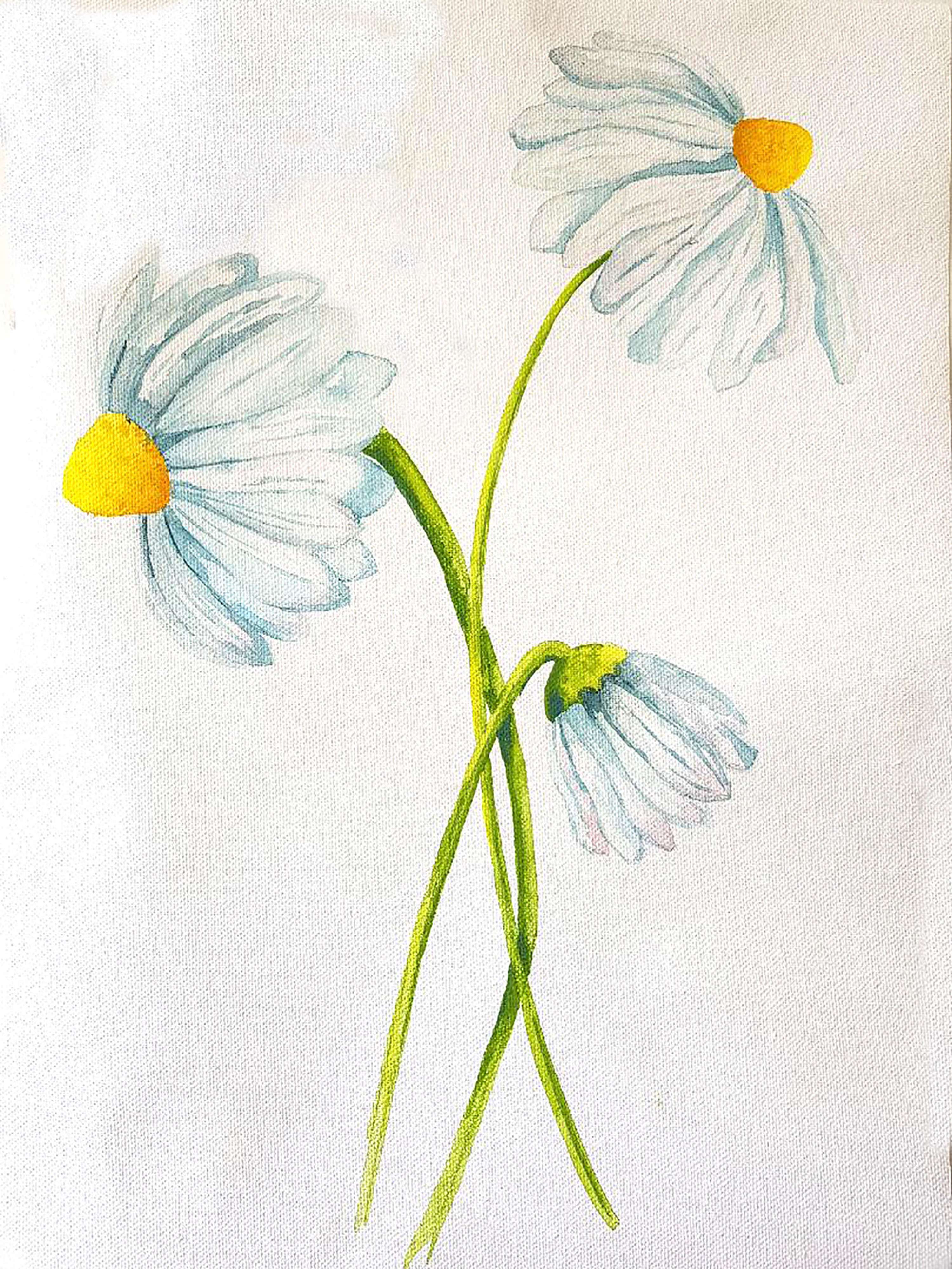 Visual Studies by Rebecca Gennard