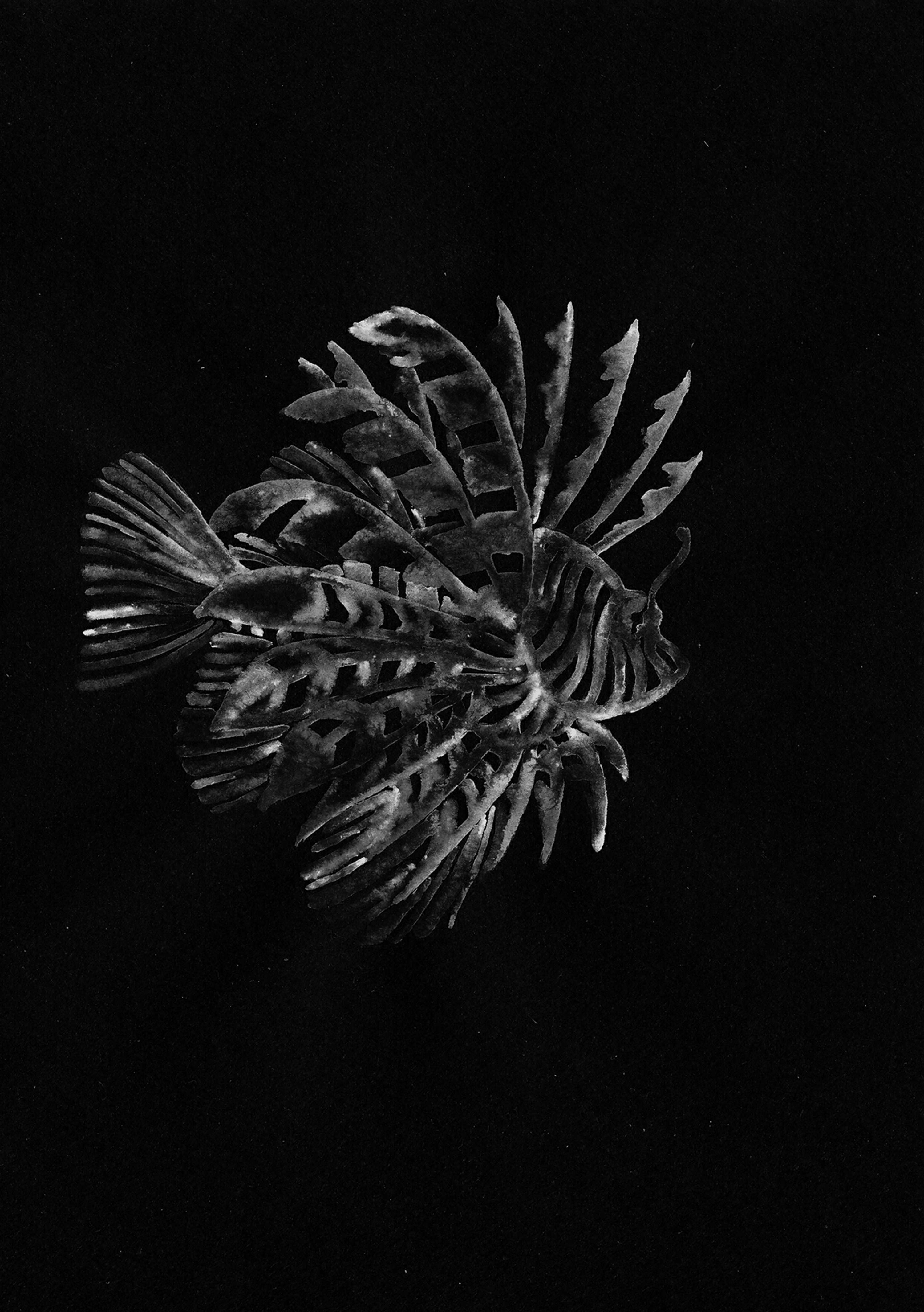 In the Abyss by Francesca Macor
