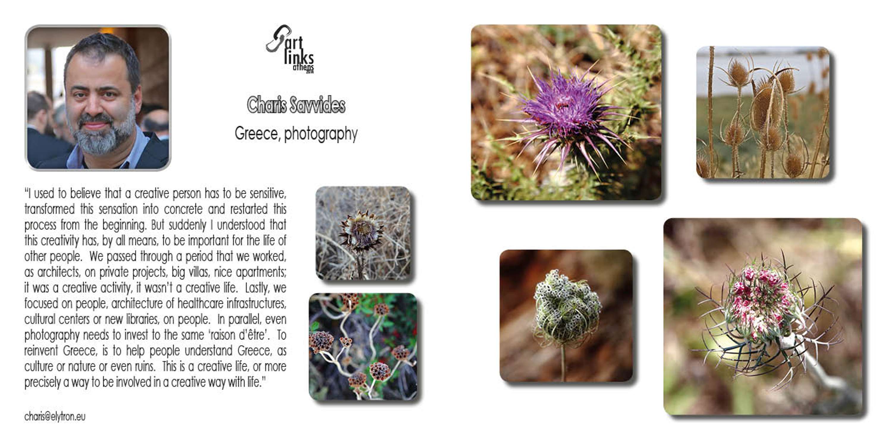 Art Links by Myra Economides