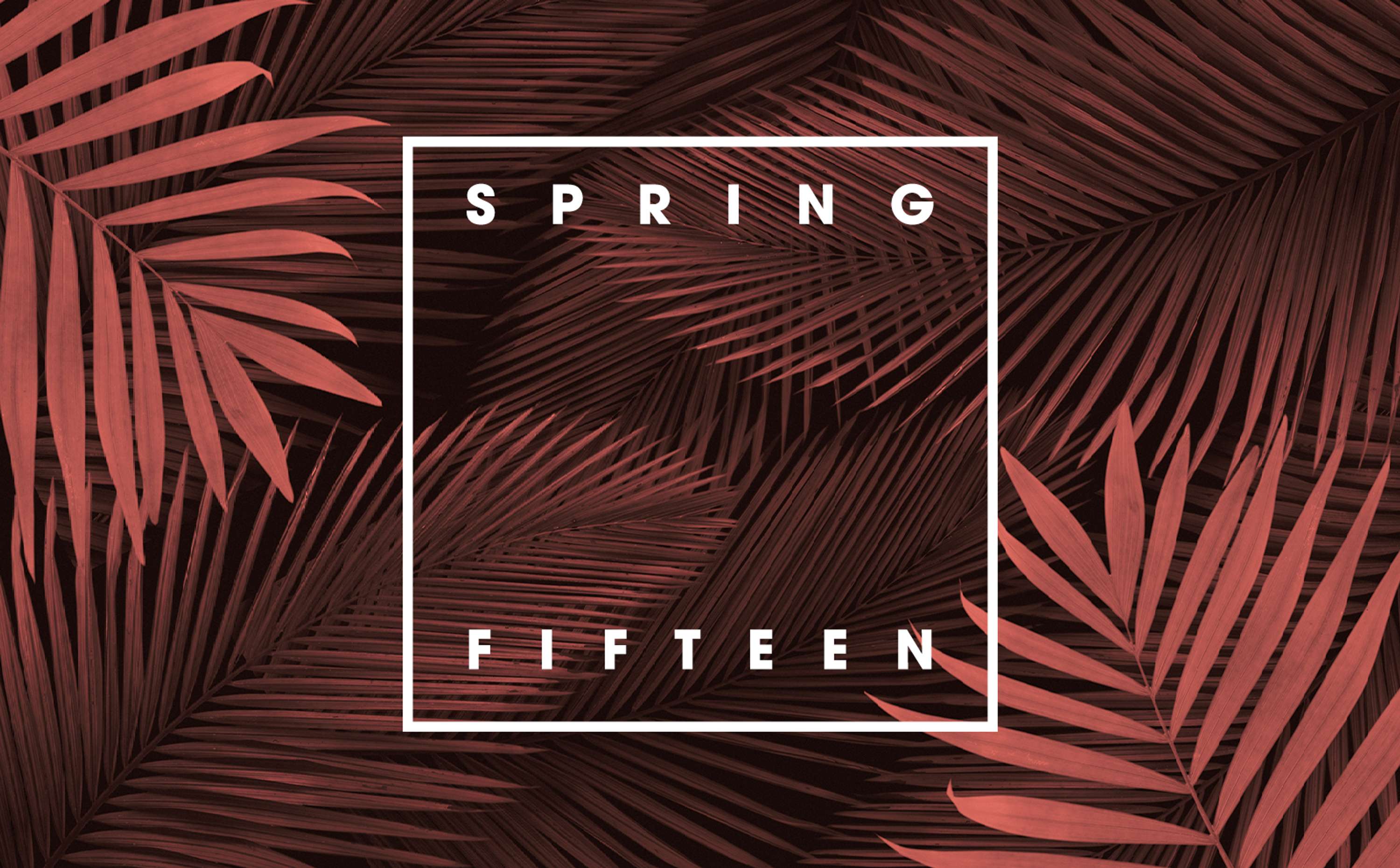 Primark — Spring 15 by Liz Hay