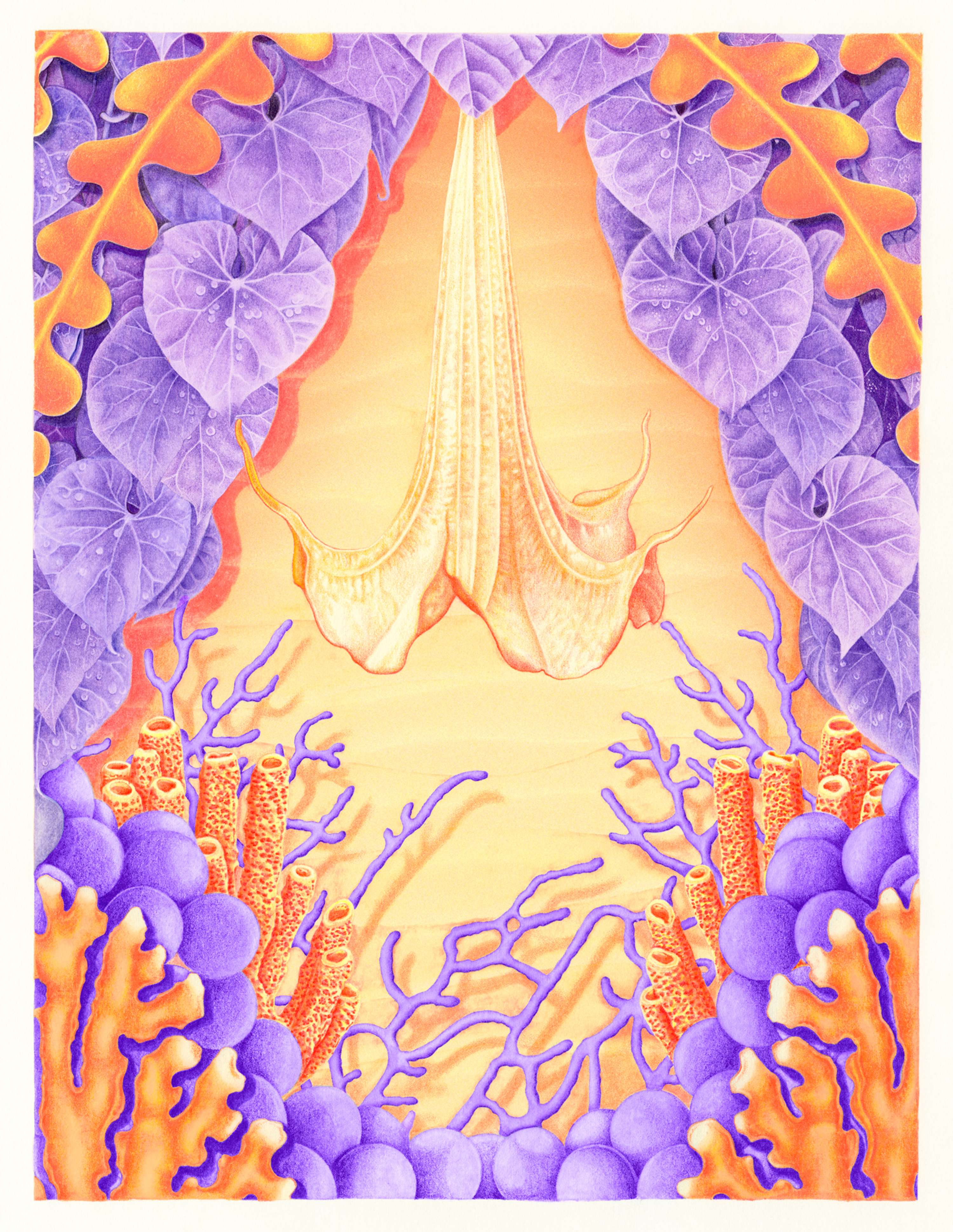 Datura by Will Drayson
