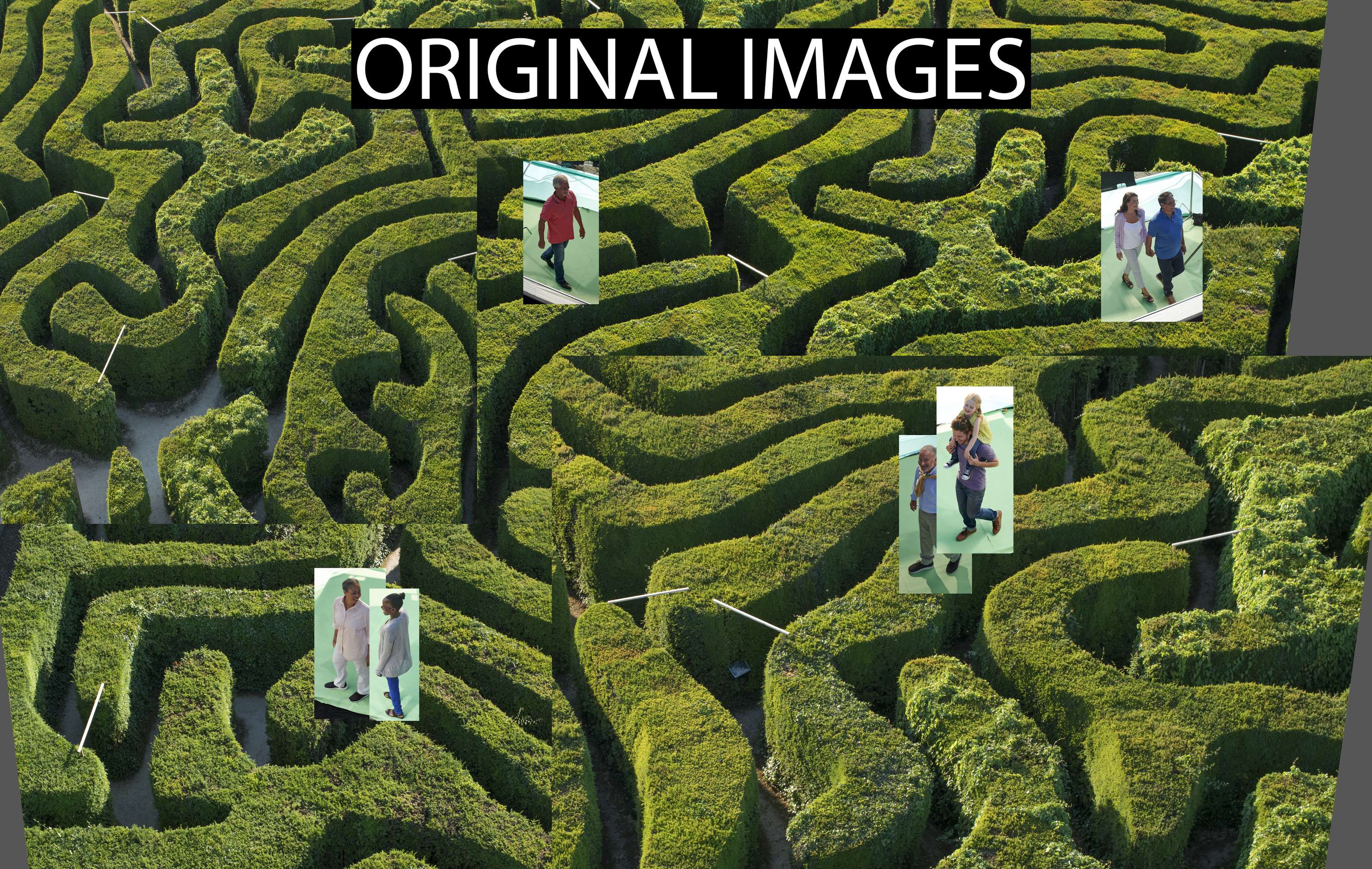 Brain Maze by Steve Sims