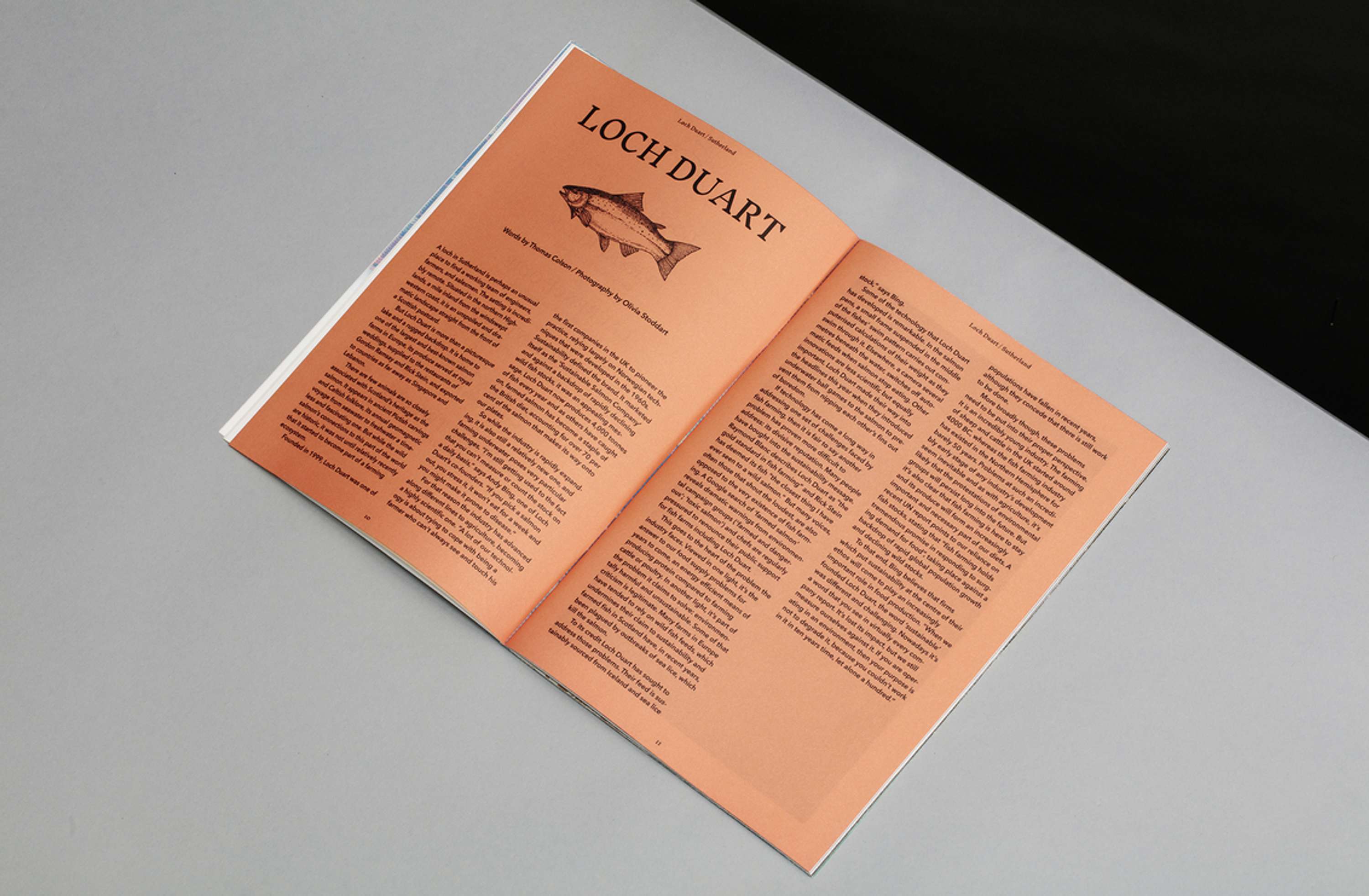 Vanguards Issue 01 by James Roberts