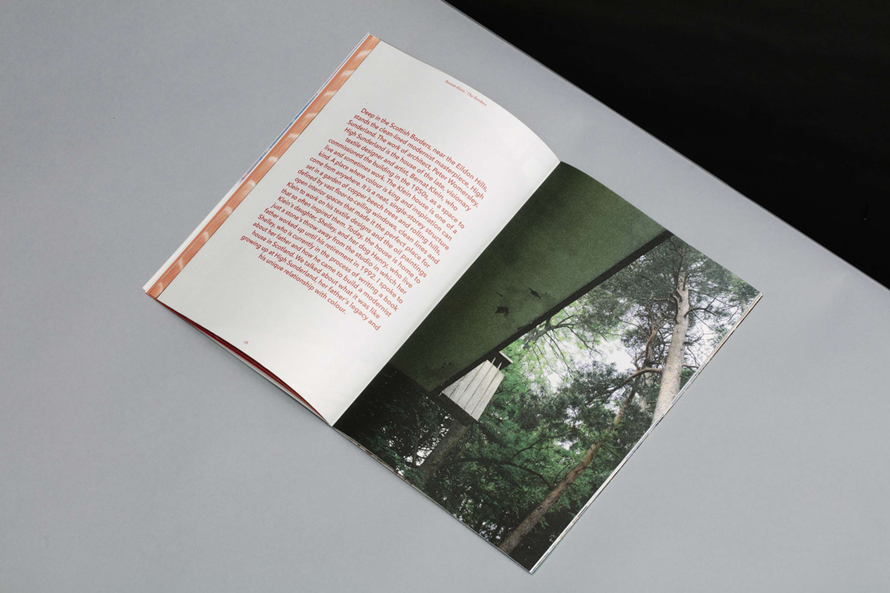 Vanguards Issue 01 by James Roberts