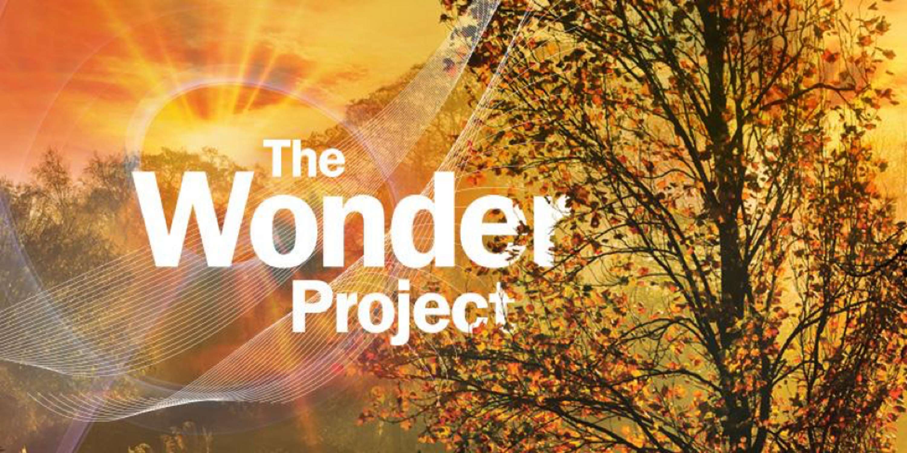 The Wonder Project by Judit Agui