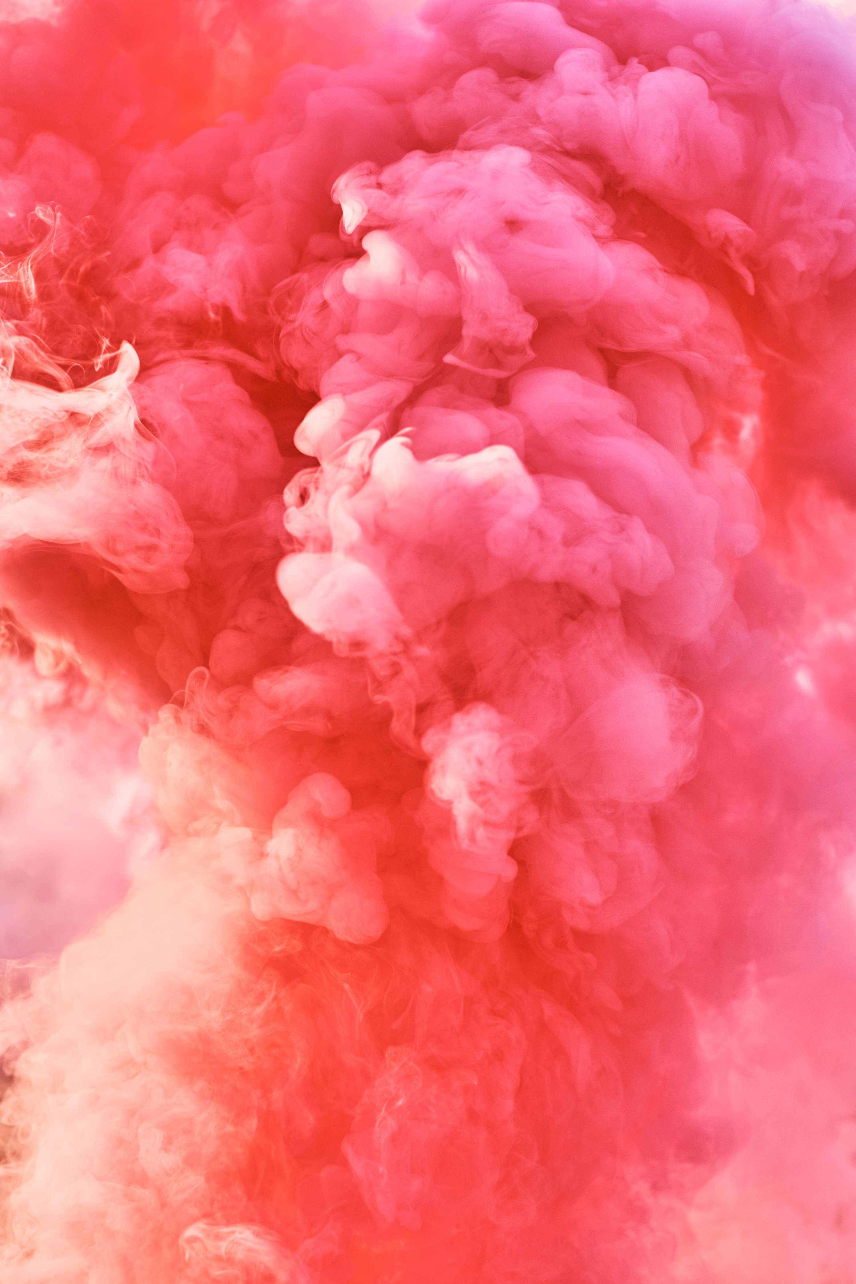 The Wonder Project by Judit Agui