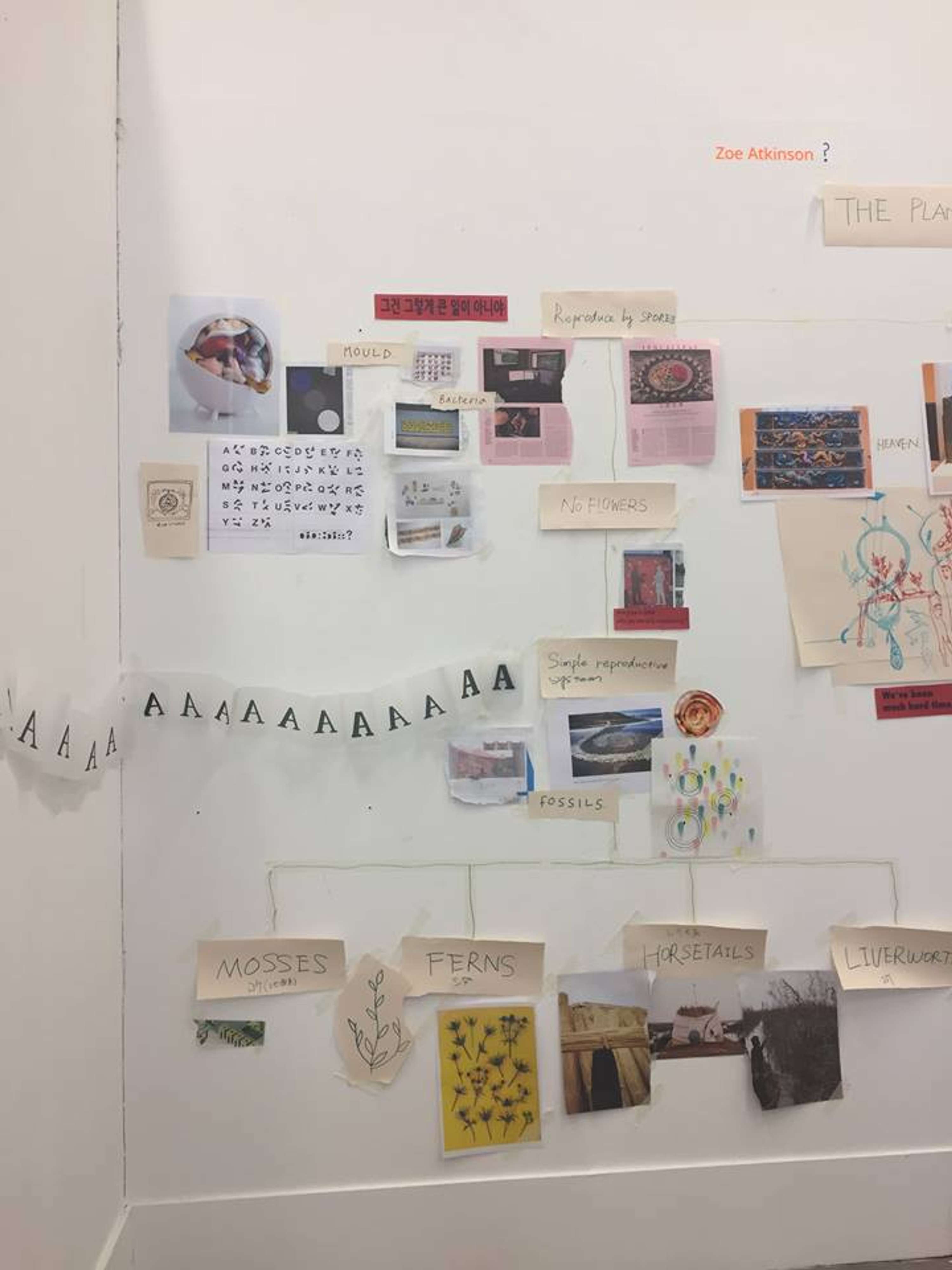 GAP Project with Tokyo University of the Arts (collaborative project) by Mia Cormack