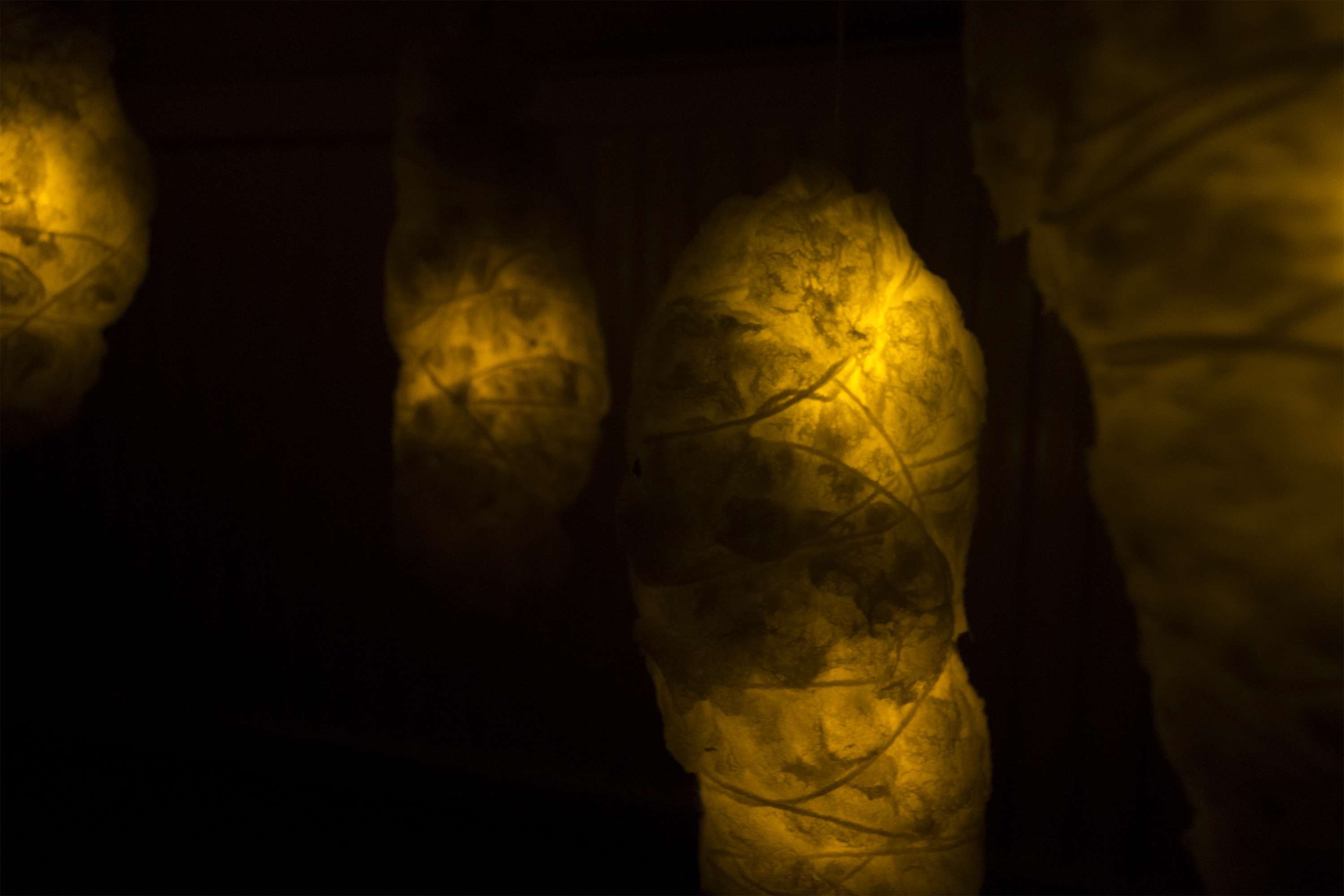 Incubation Chamber by Jo Holt