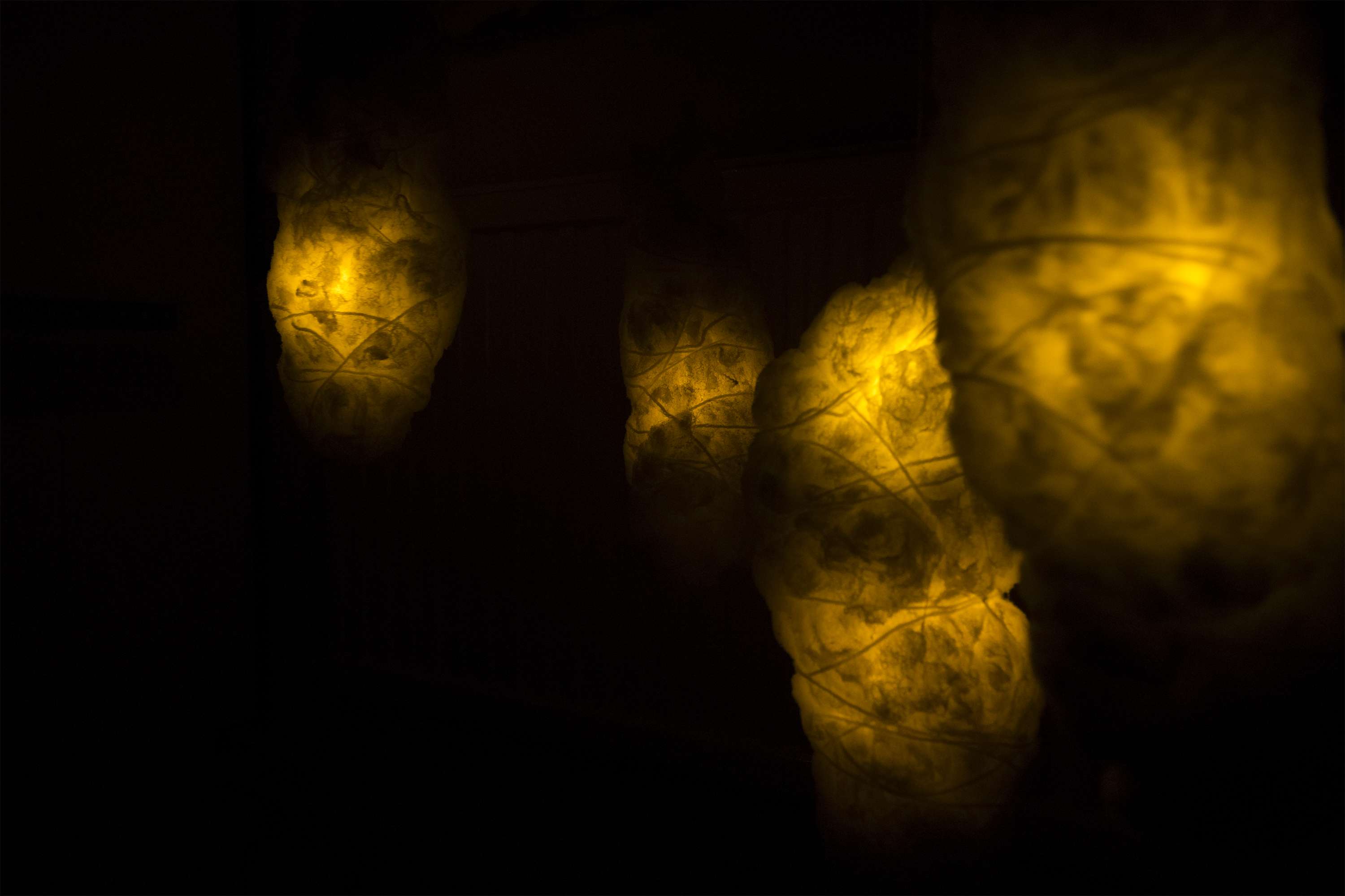Incubation Chamber by Jo Holt