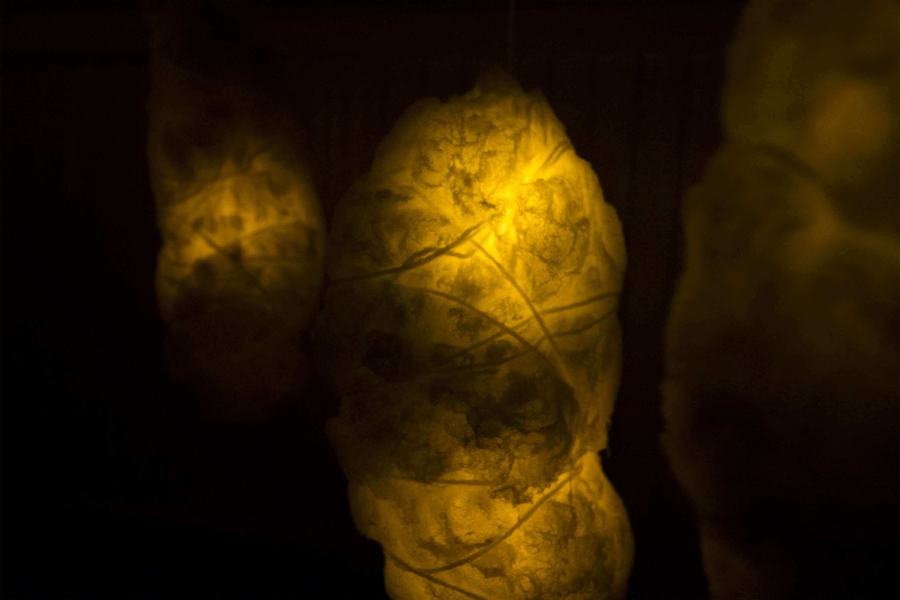 Incubation Chamber by Jo Holt