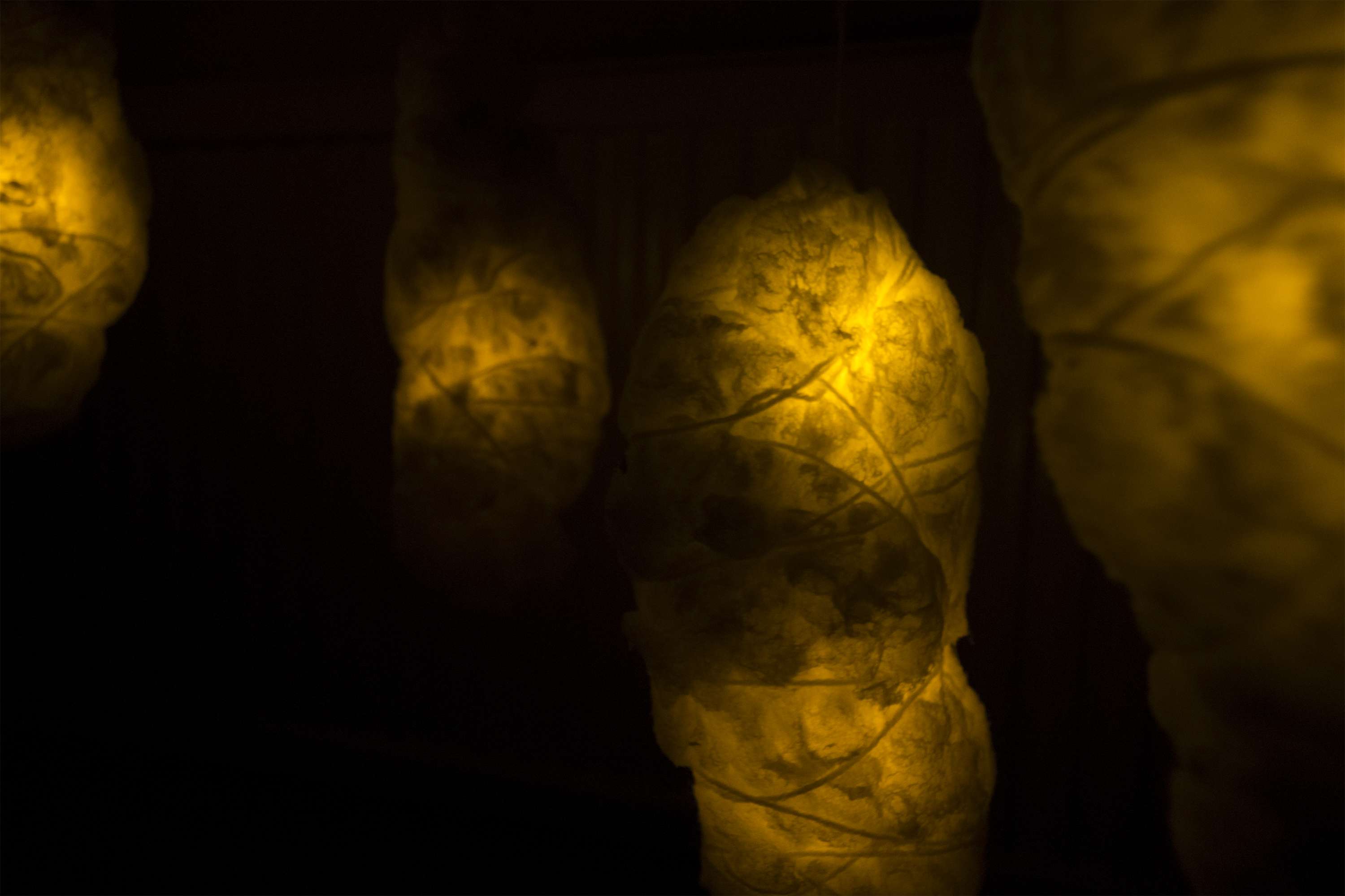 Incubation Chamber by Jo Holt