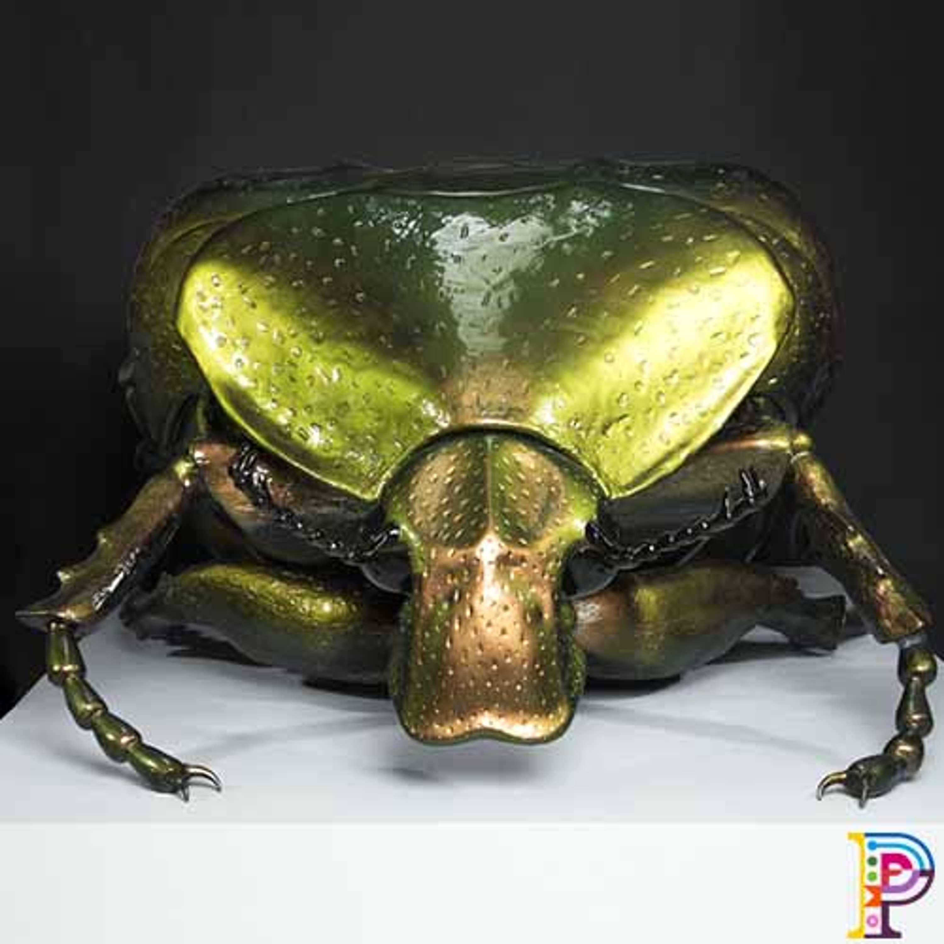 Big Bugs on Tour by Plunge Creations Limited