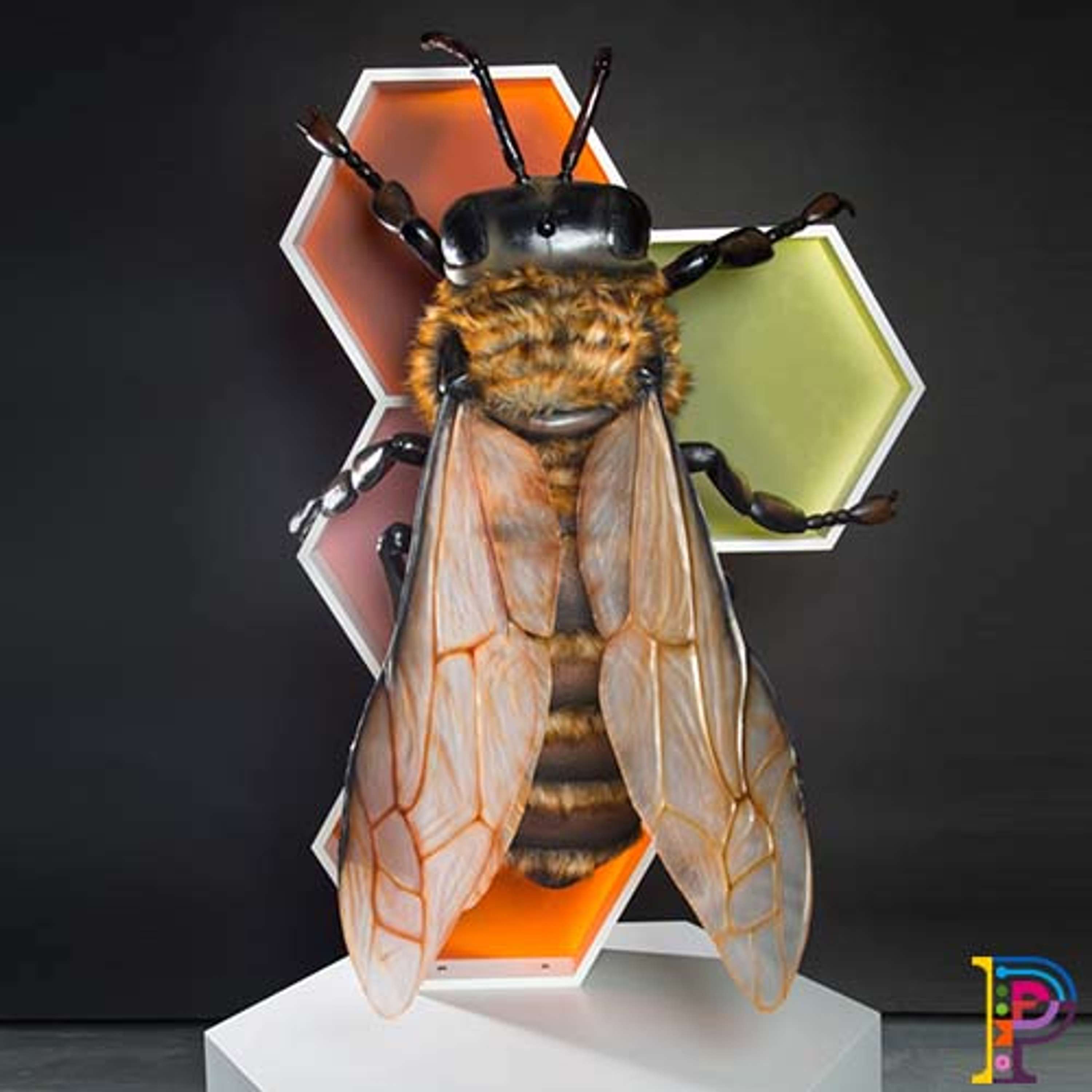 Big Bugs on Tour by Plunge Creations Limited