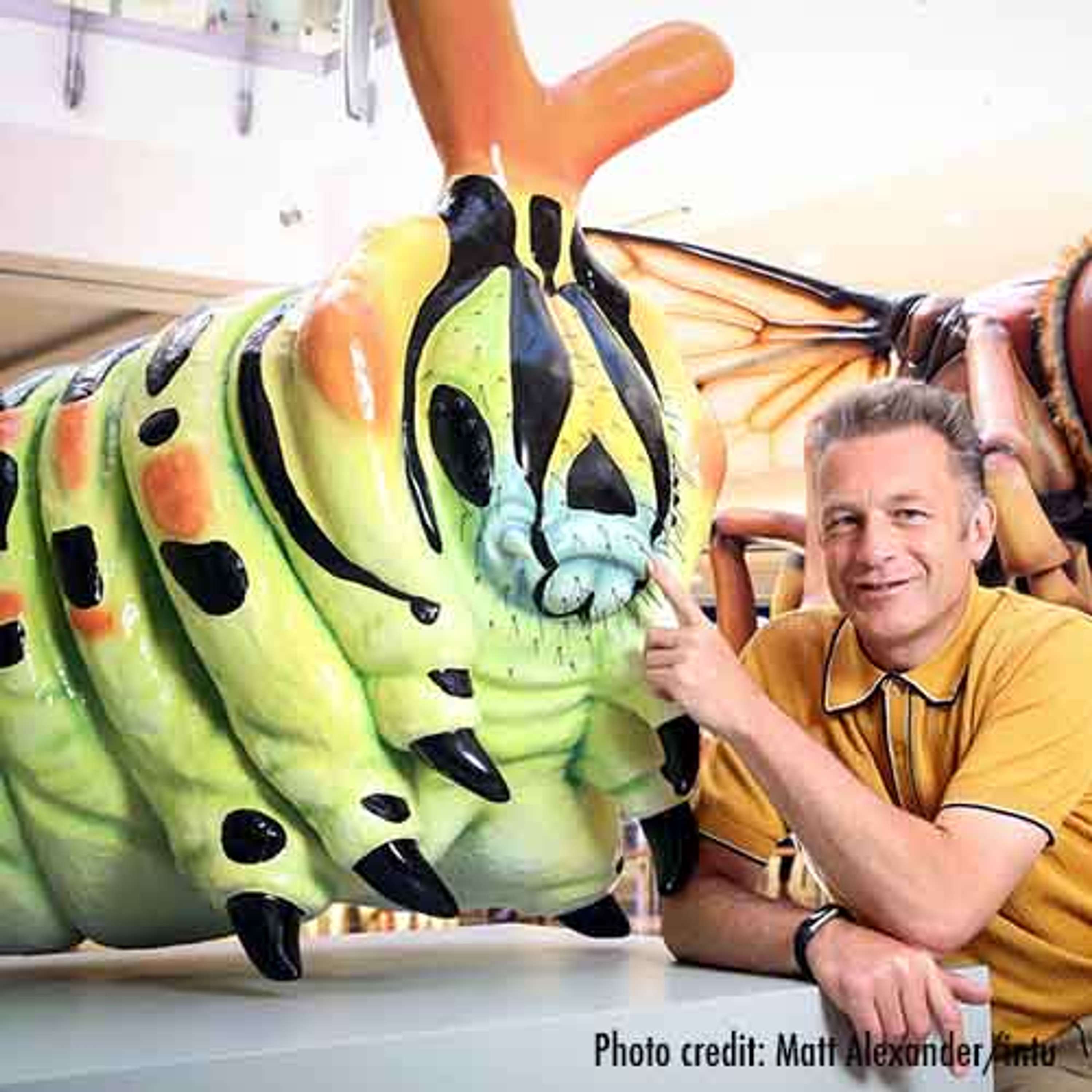 Big Bugs on Tour by Plunge Creations Limited