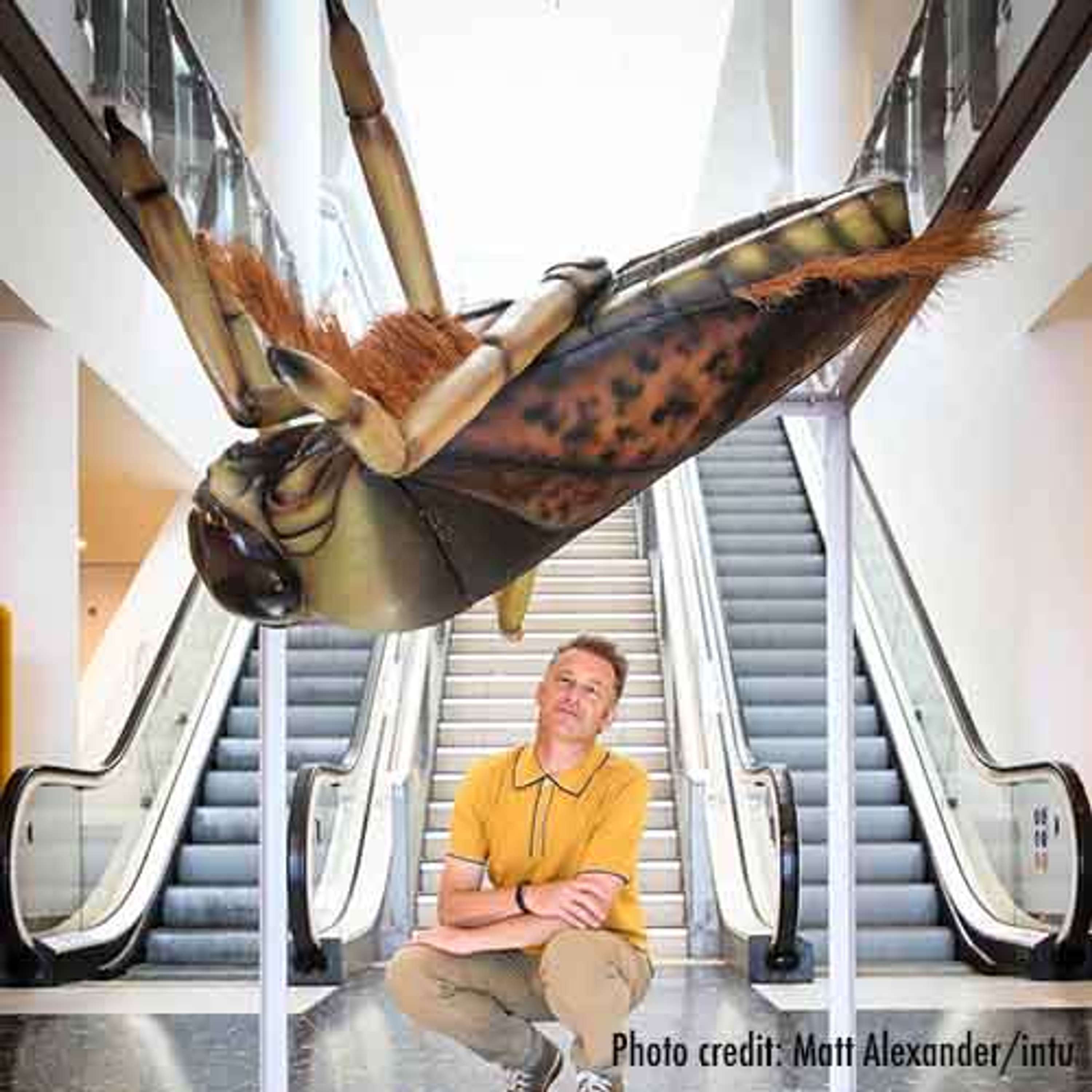 Big Bugs on Tour by Plunge Creations Limited