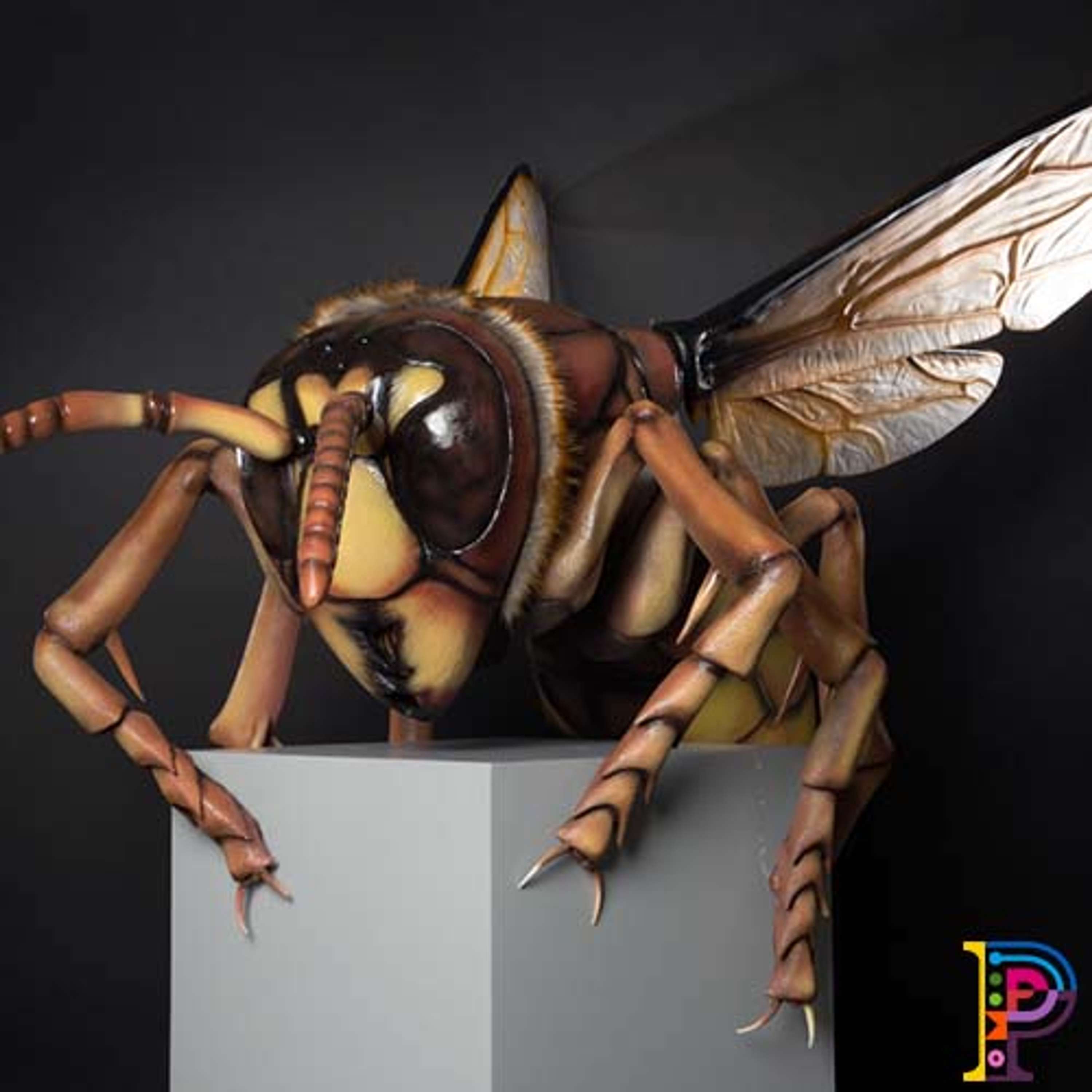 Big Bugs on Tour by Plunge Creations Limited