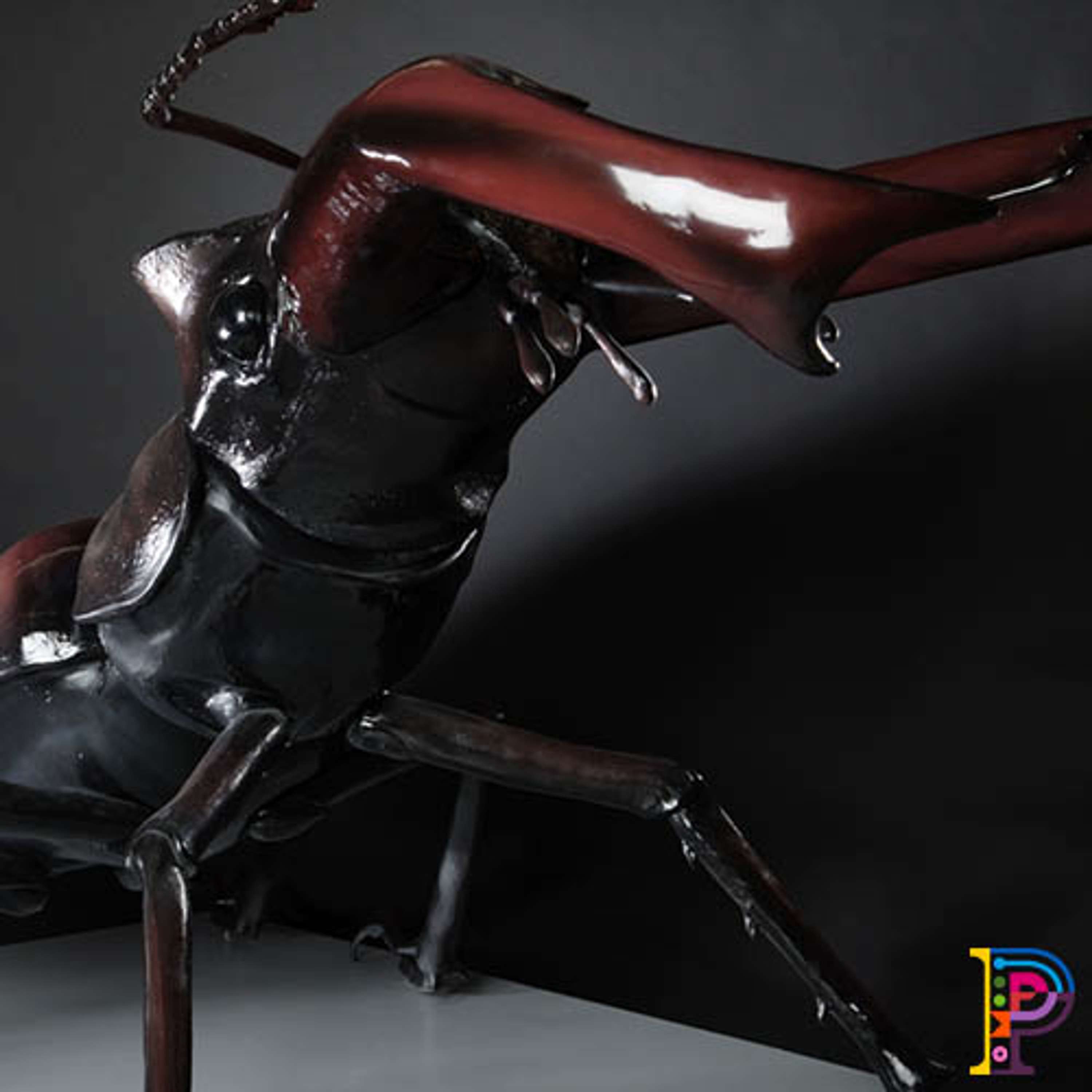 Big Bugs on Tour by Plunge Creations Limited