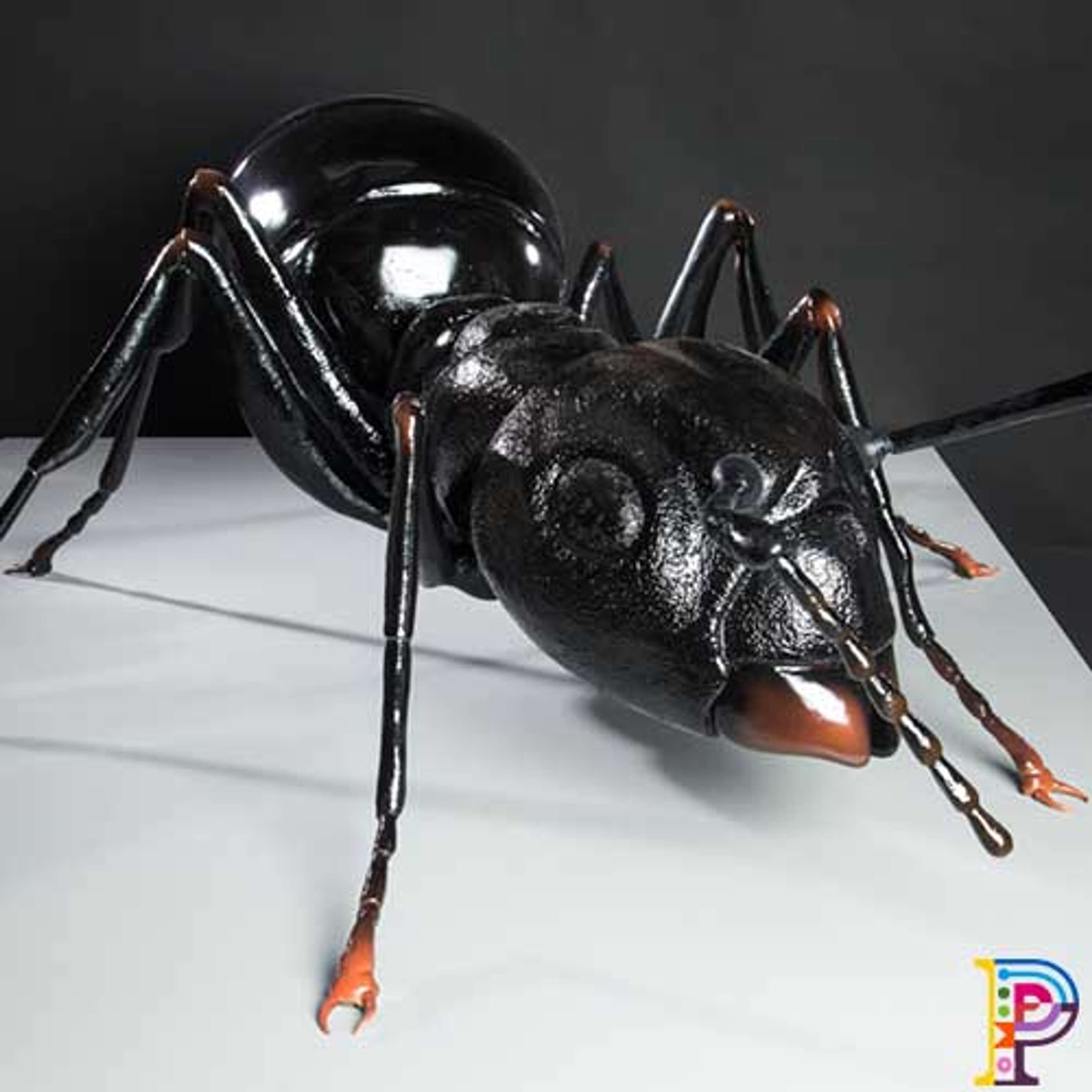 Big Bugs on Tour by Plunge Creations Limited